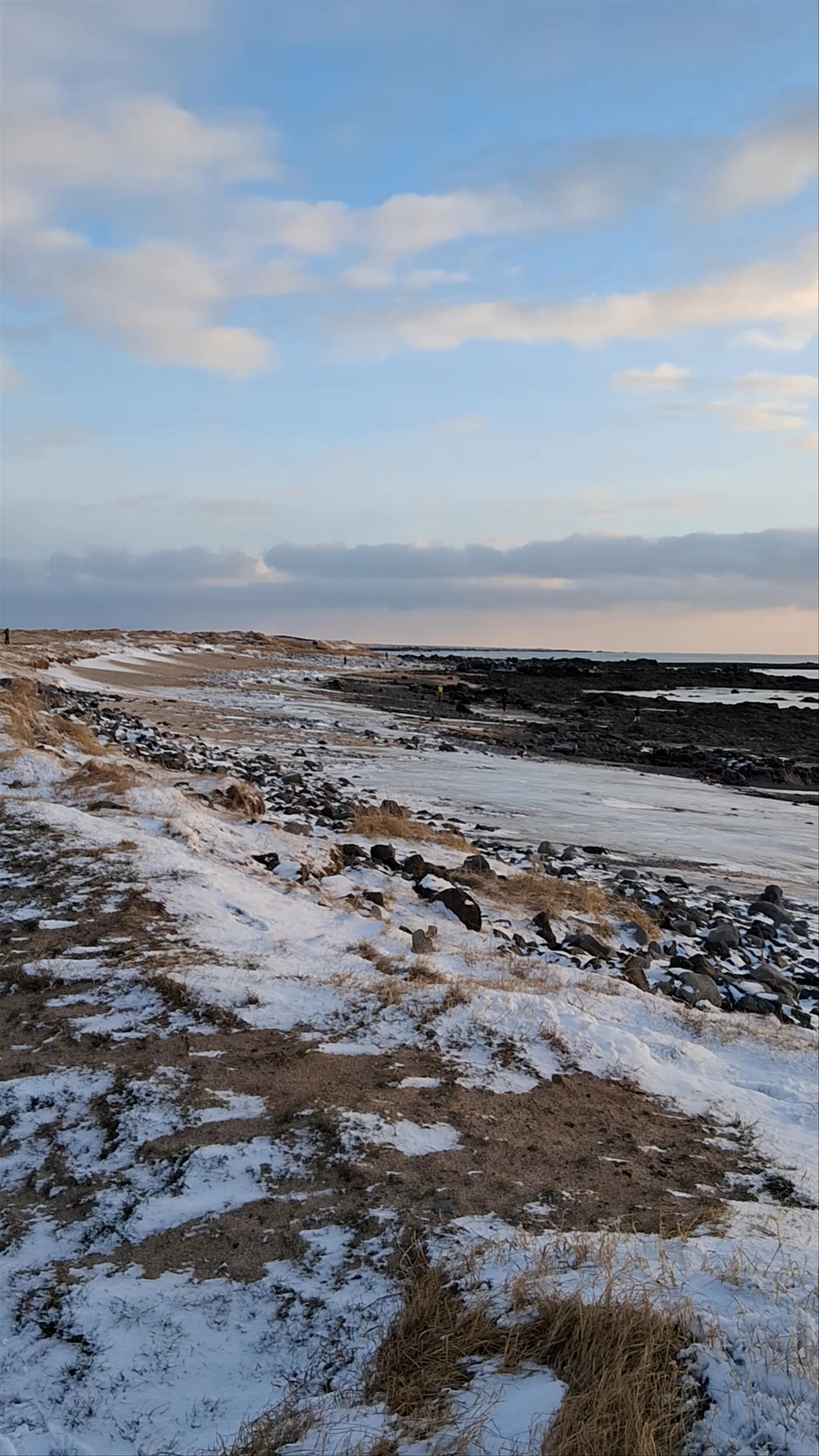 Ytri Tunga Beach: Winter Coastal Serenity in Iceland