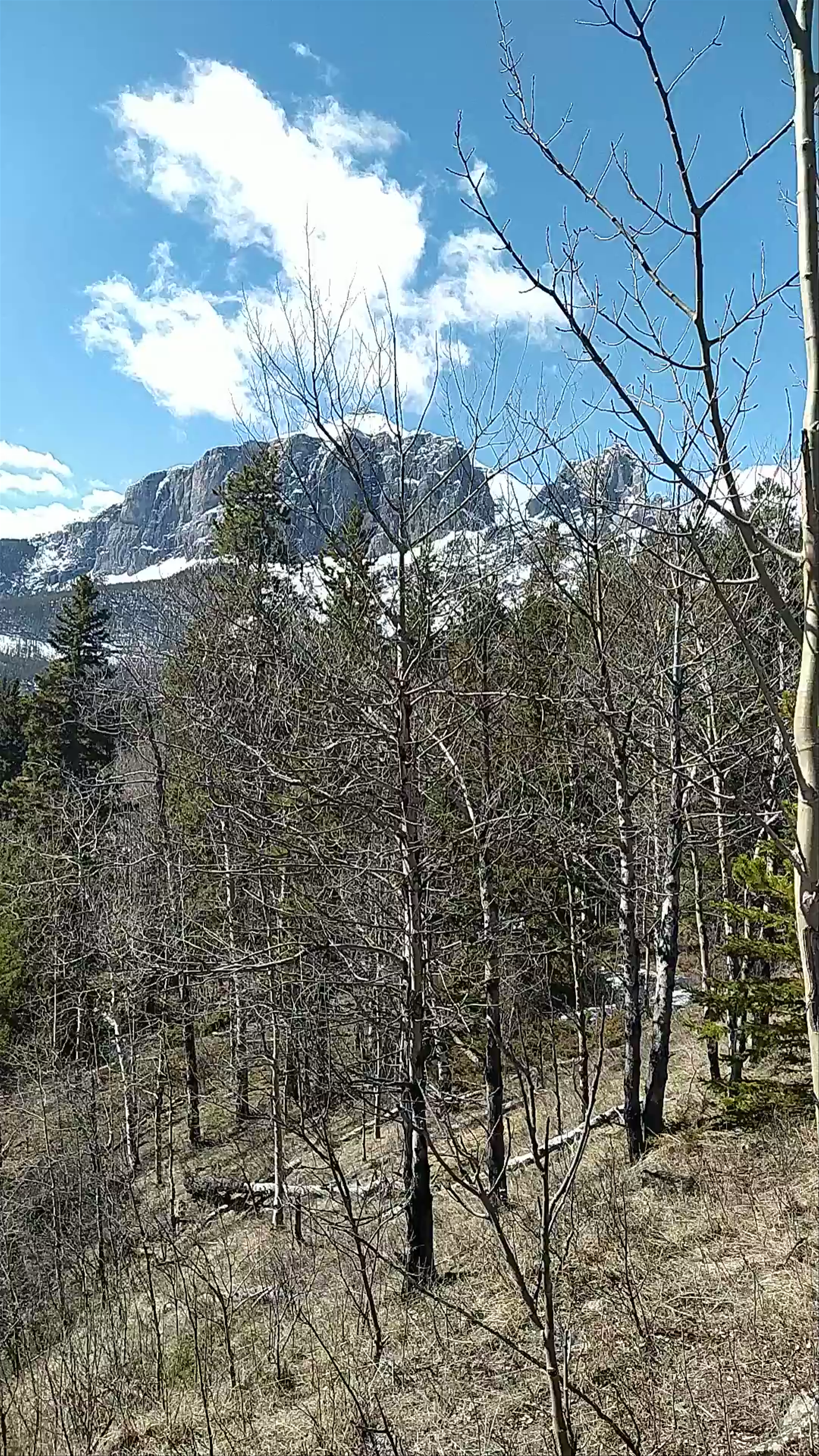 Bow River Pathway