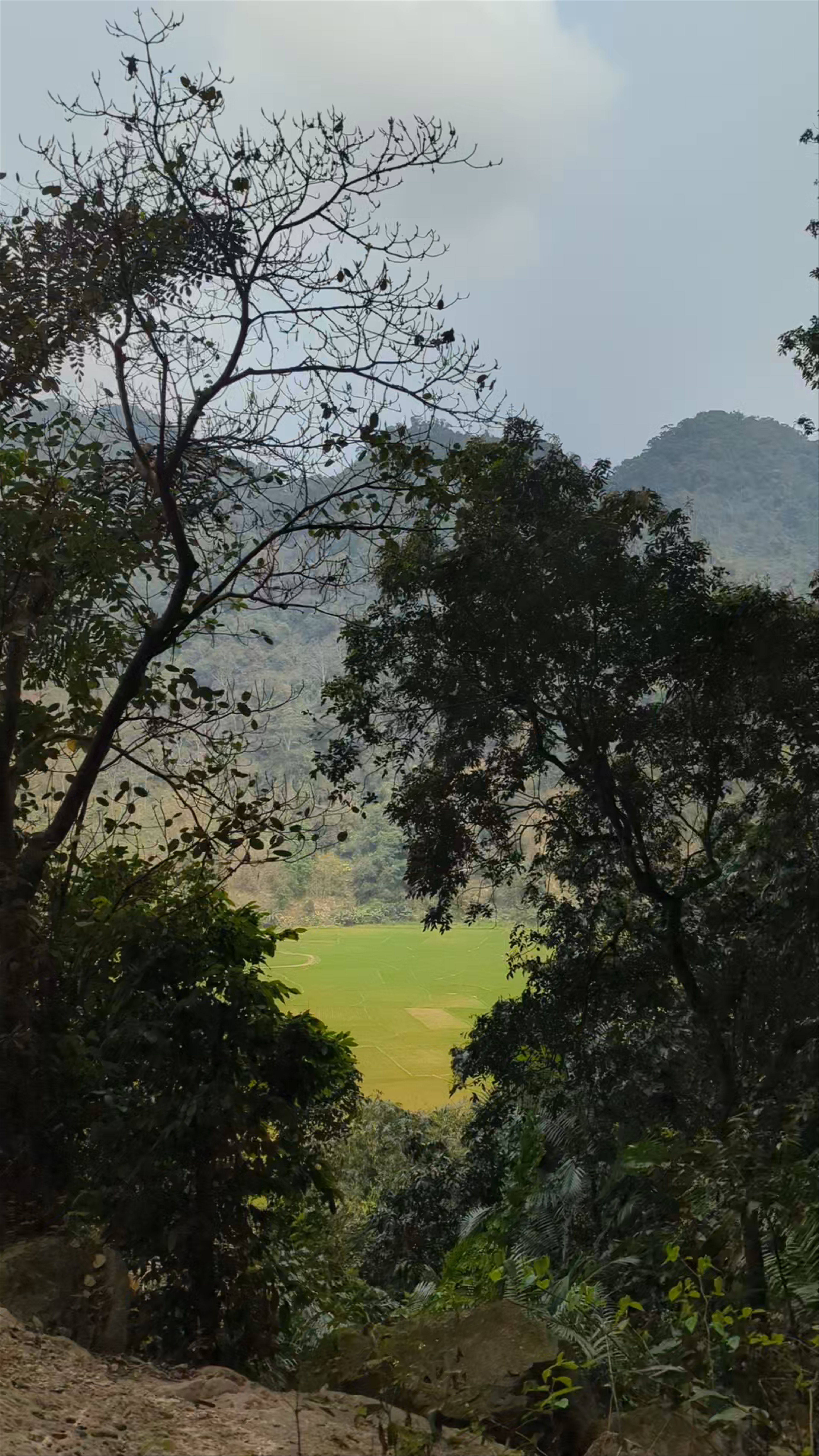Hang Dơi Kho Mường