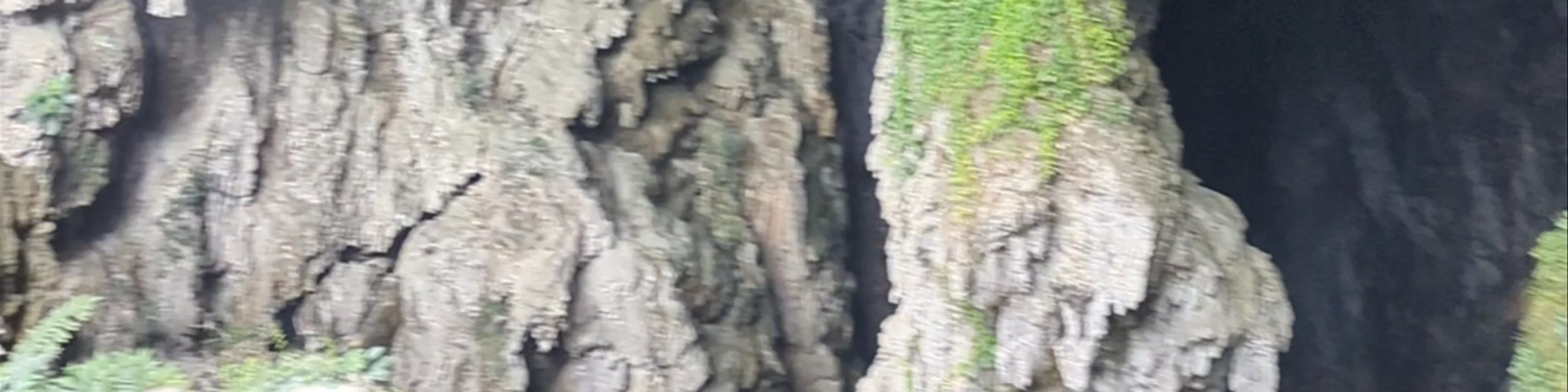 Hang Dơi Kho Mường