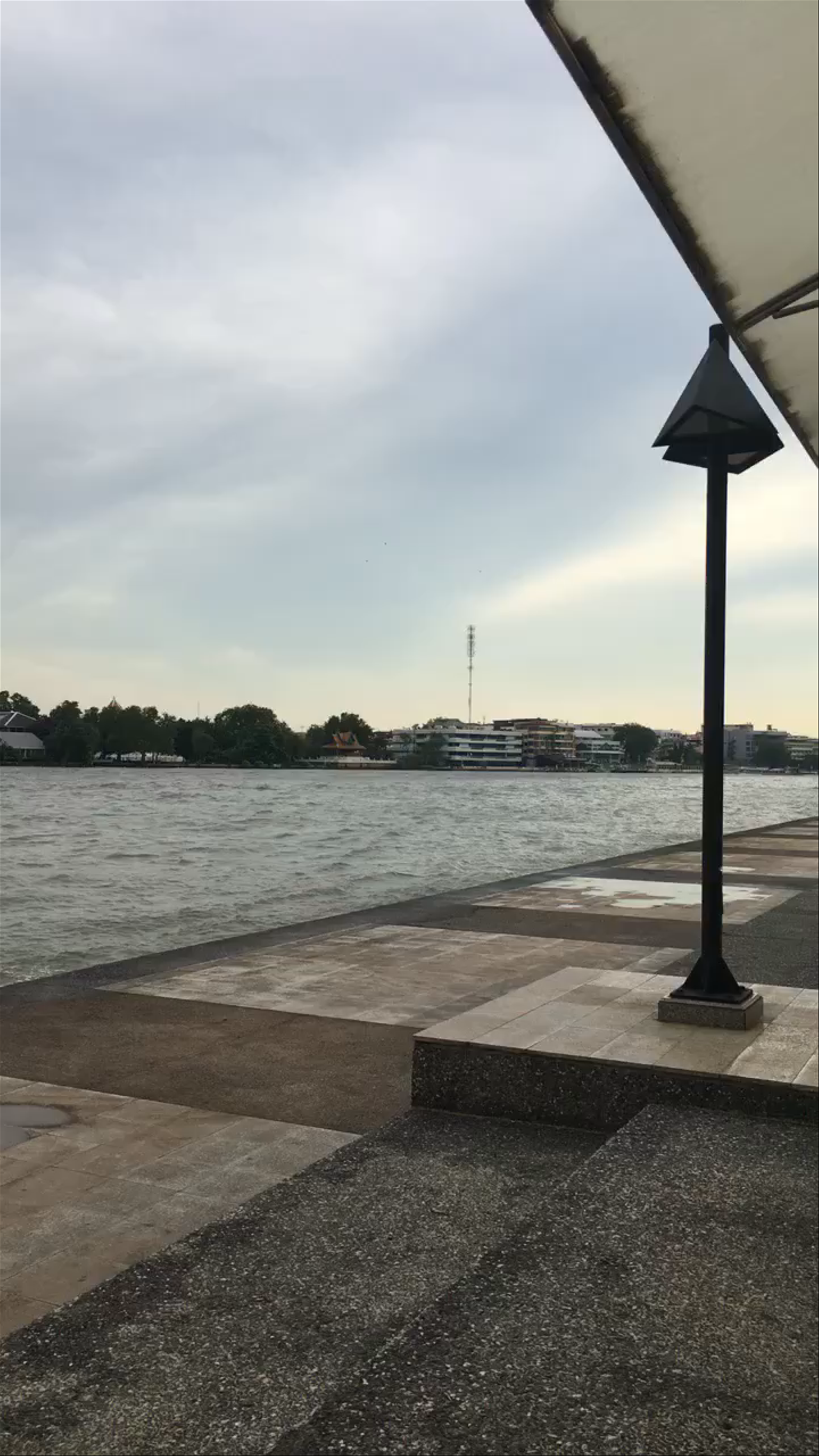 Serene Riverside Views at Rama VIII Bridge, Bangkok