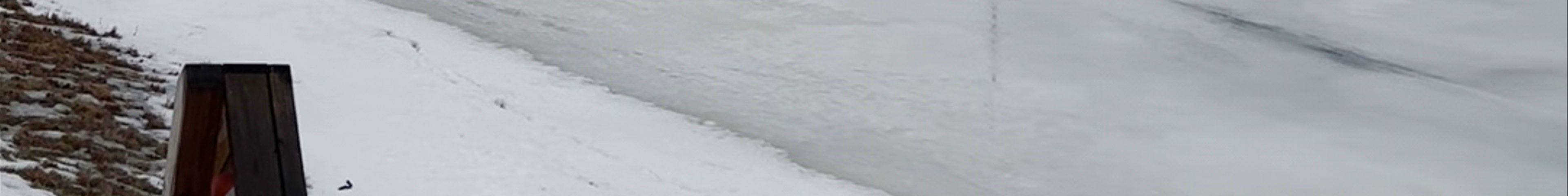 Tours & experiences in Finland