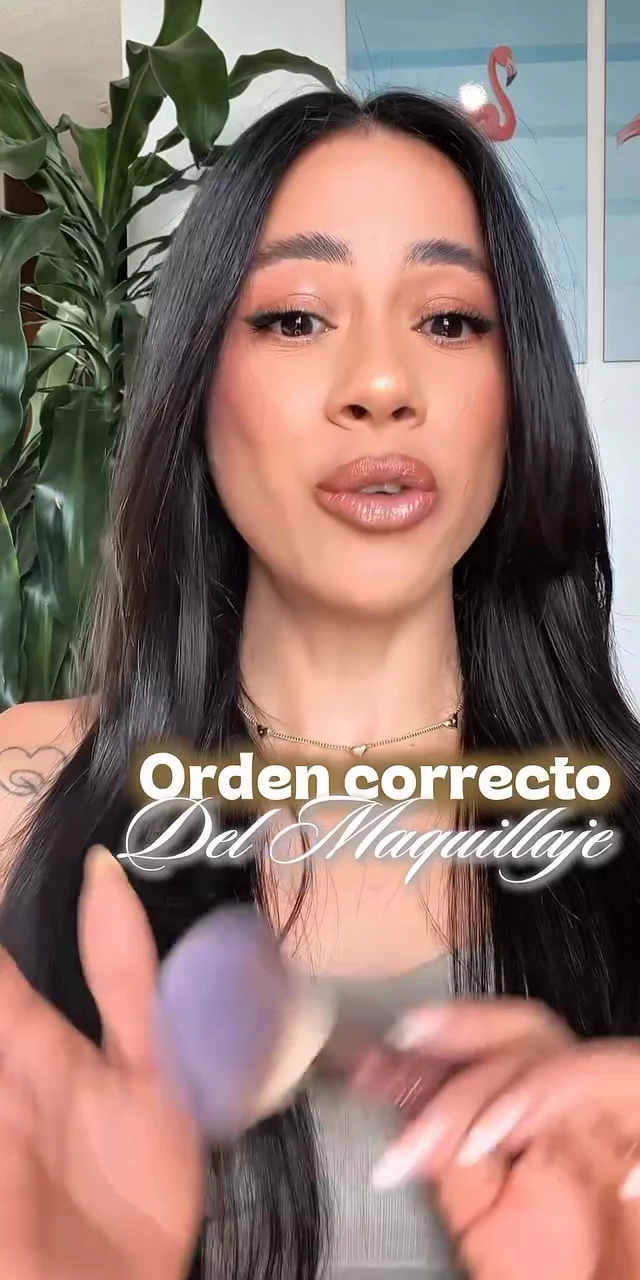 Contenido del creador