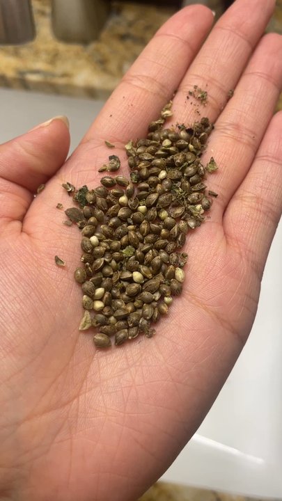 Pasadena Wellness - Allllll seed - Cannabis Dispensaries Near Me - Pasadena, California