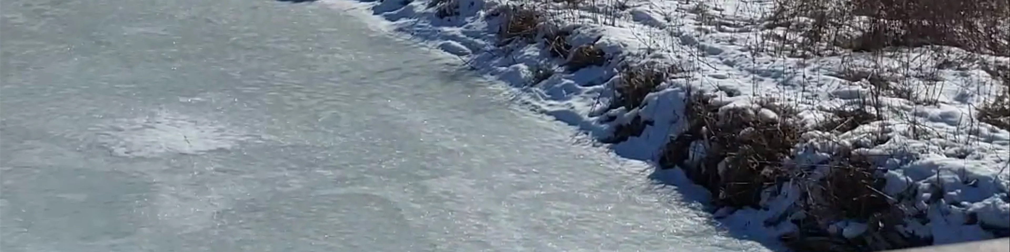 Greenwood Conservation Area