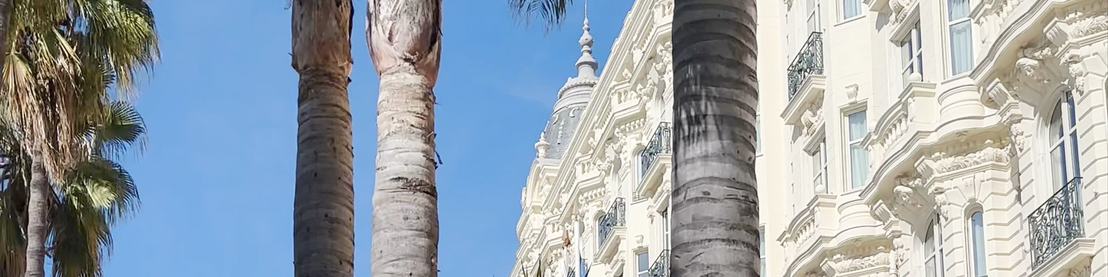 Carlton Cannes
