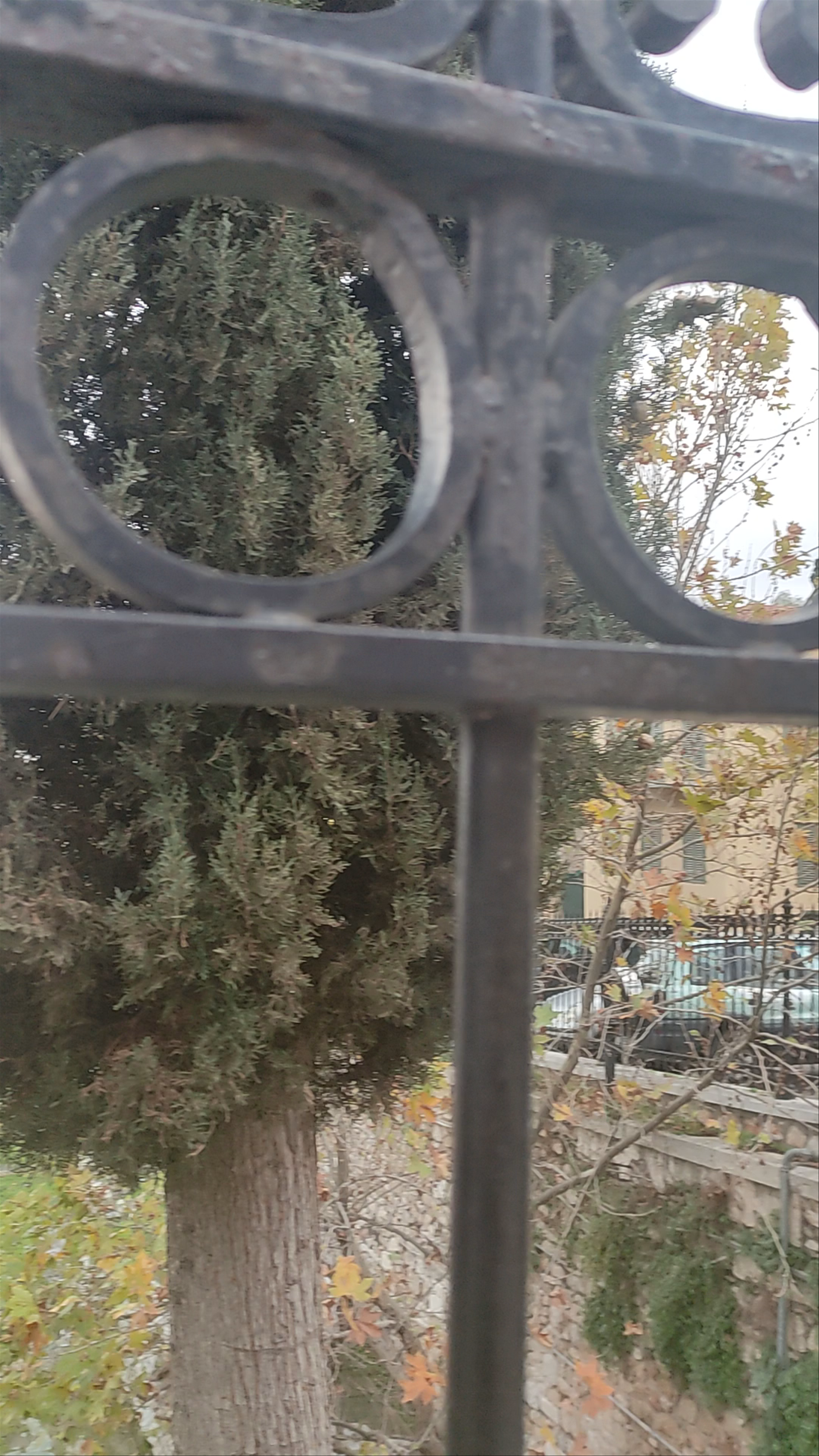 Plaka Arch Suites