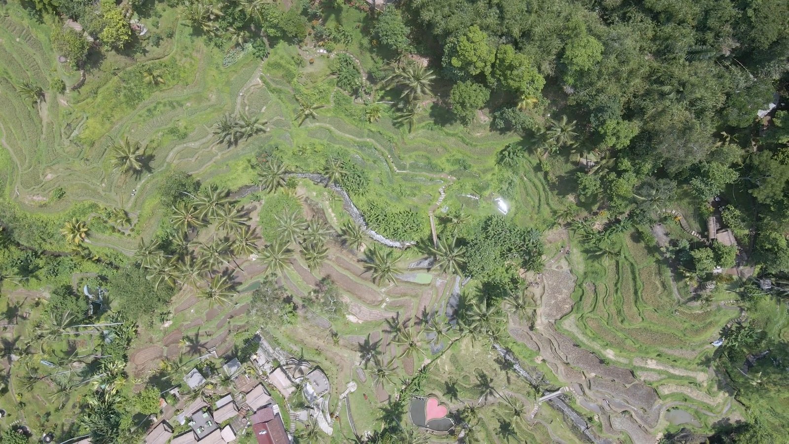 A journey through Bali