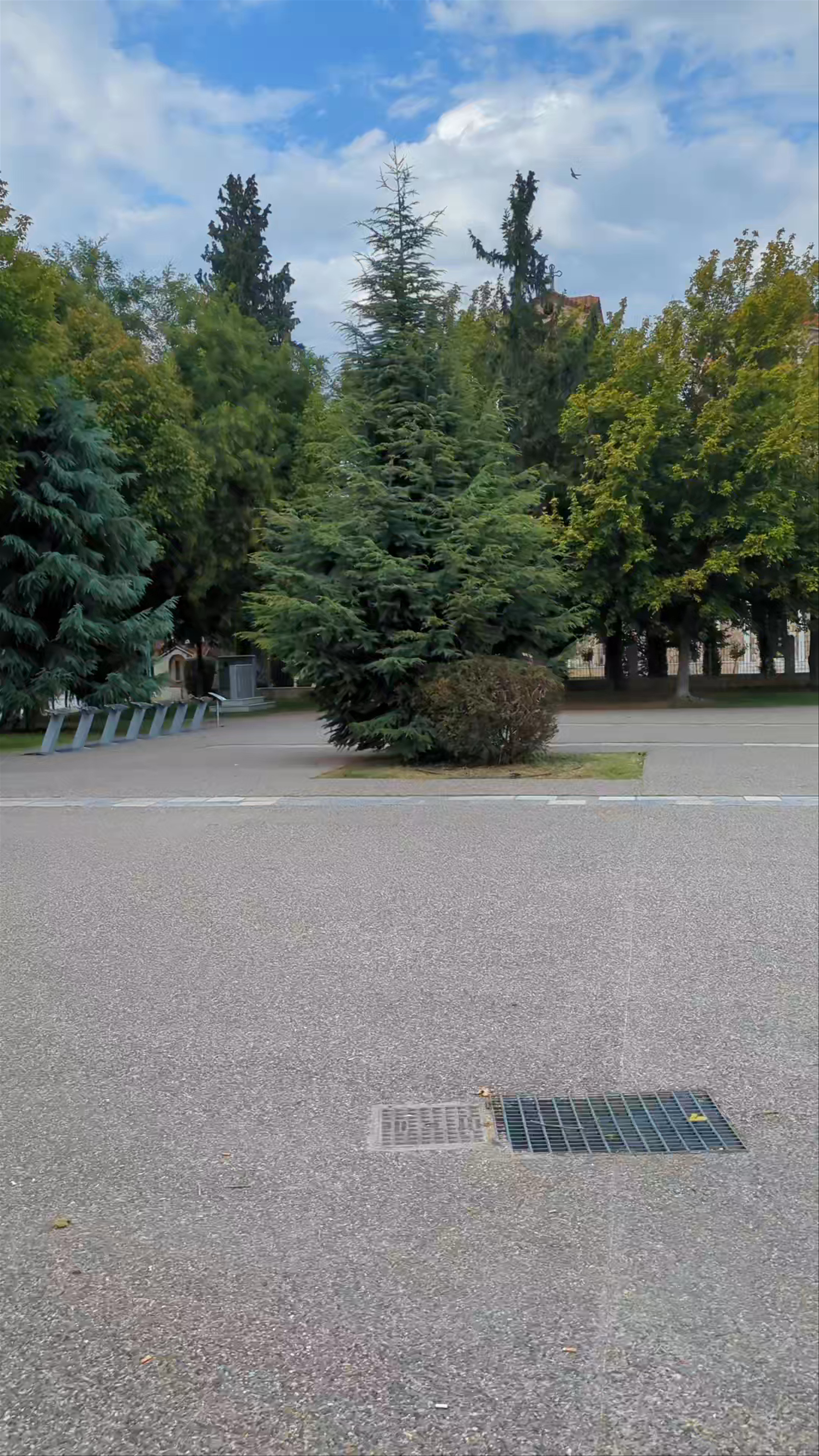 Serene Afternoon at Park of the Holy Unmercenaries, Veria, Greece