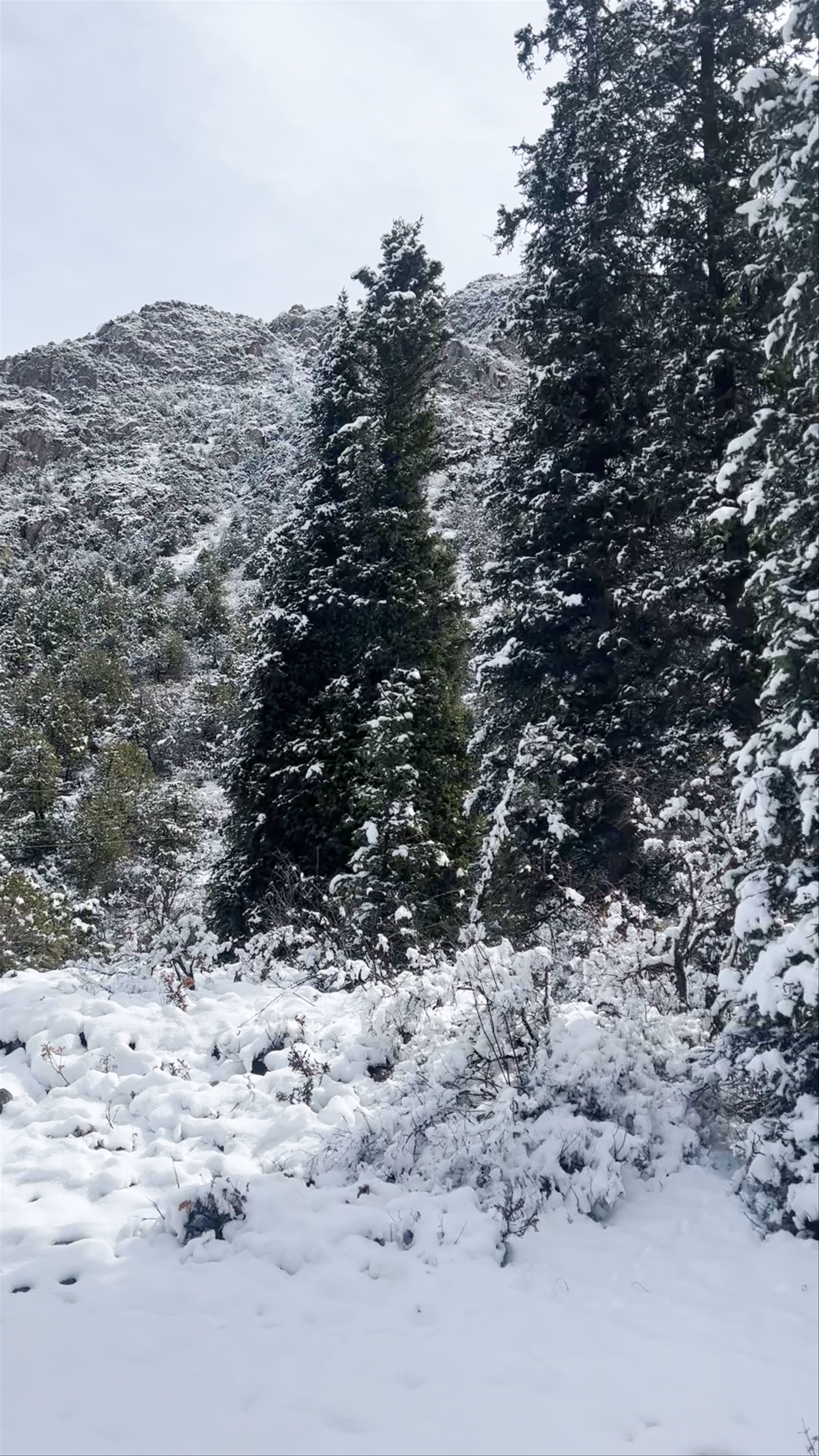 Ala Archa National Park