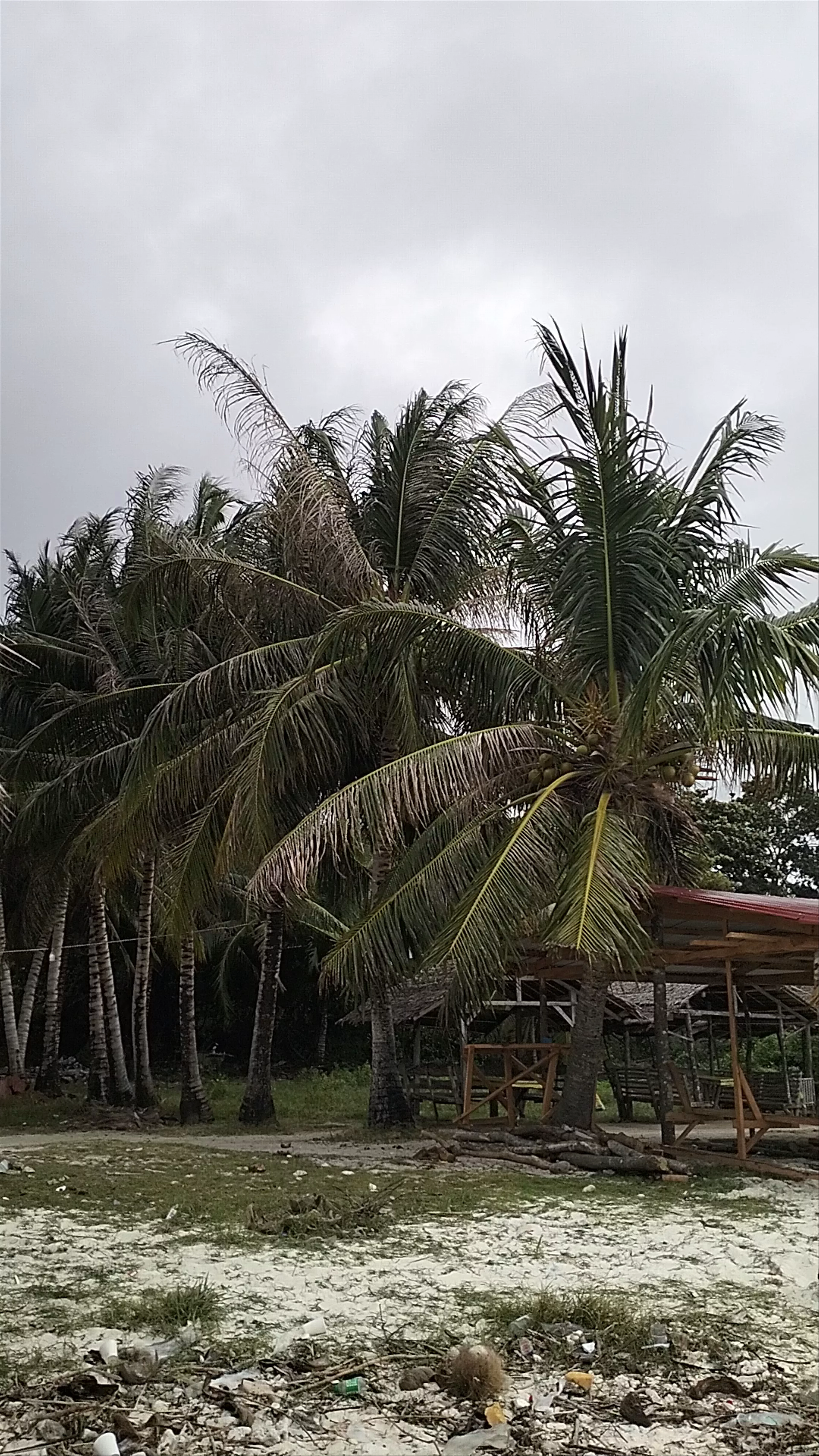 Candanay Sur Beach