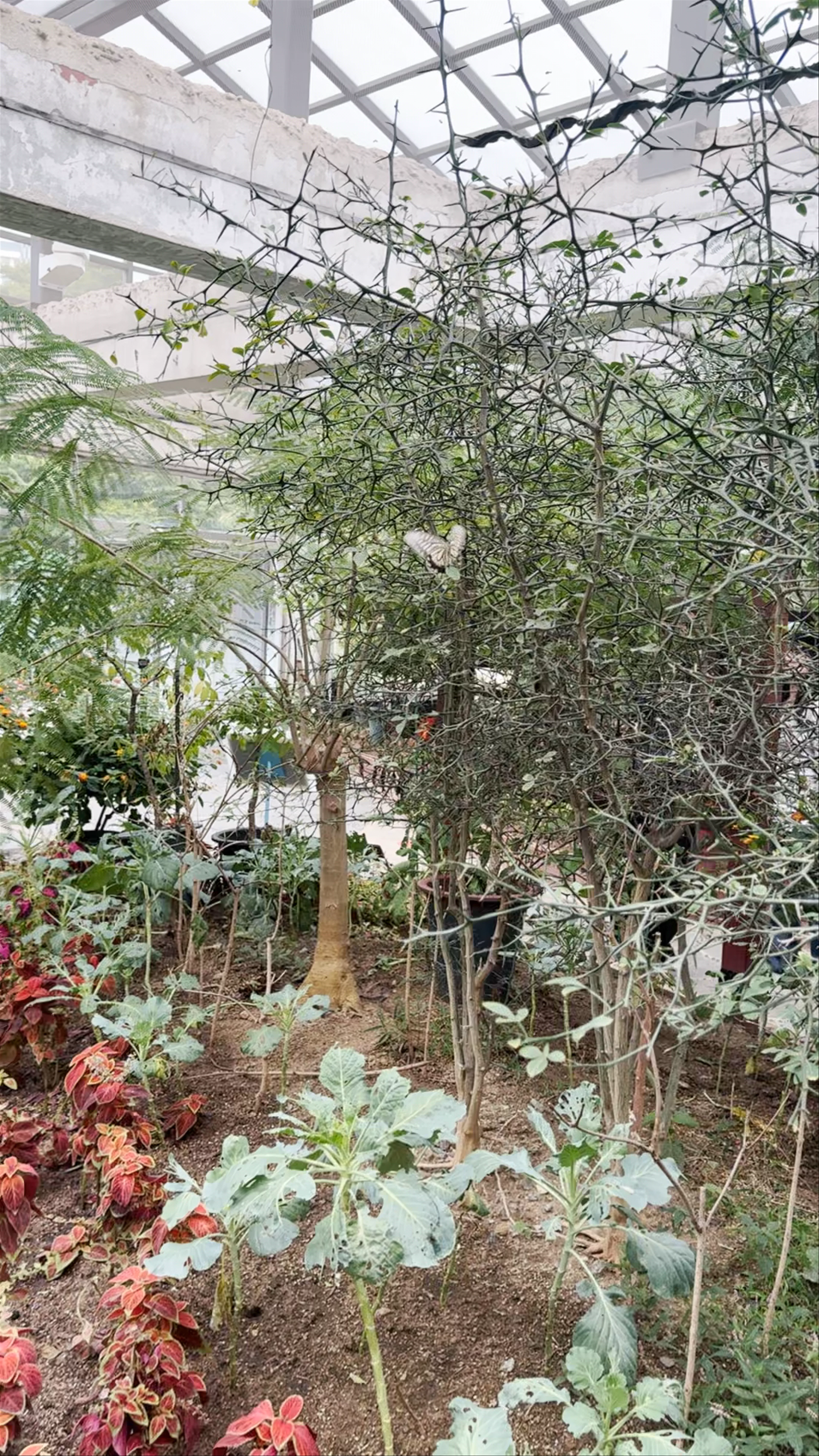 Seoul Forest Park