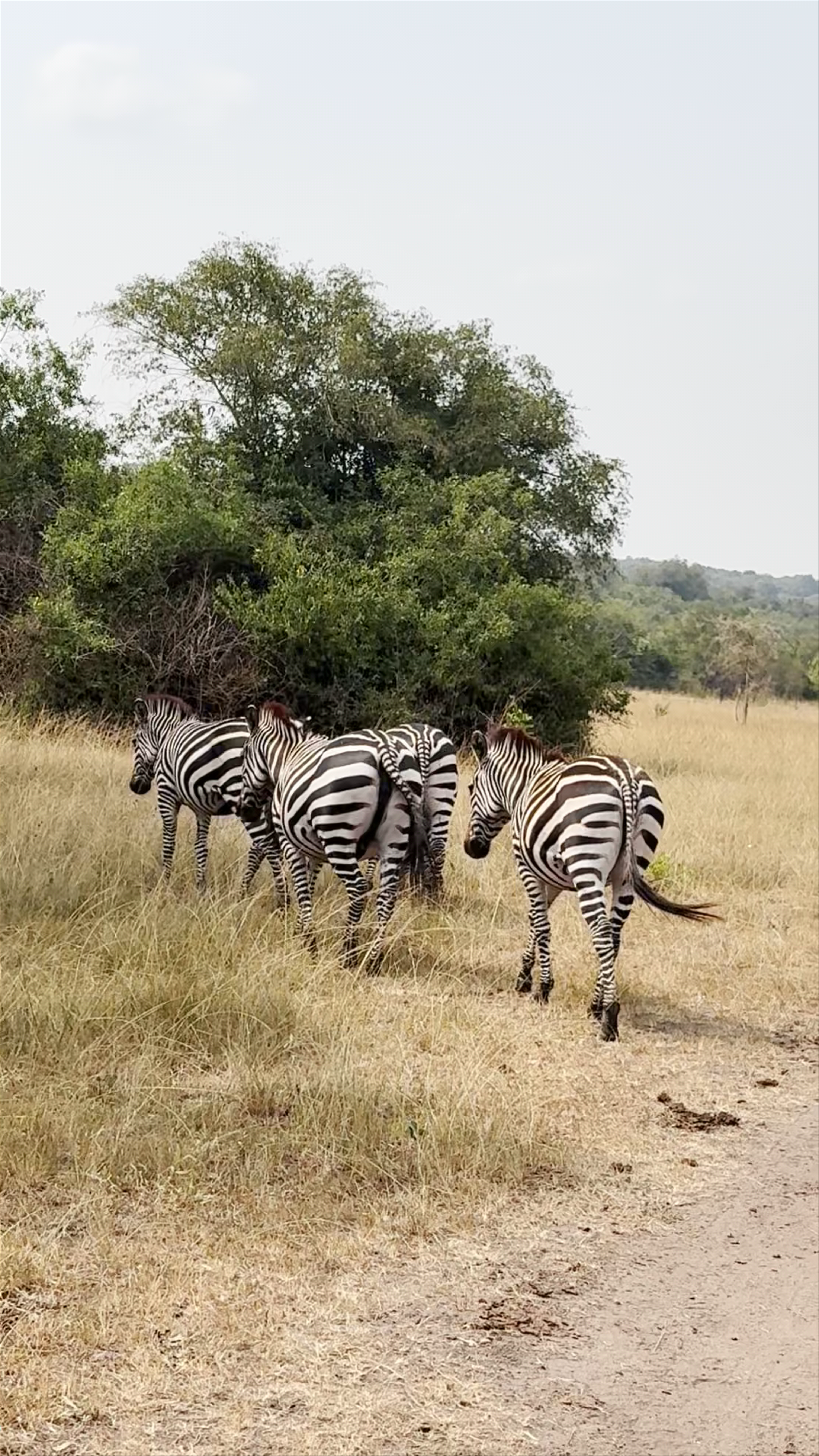 Lake Mburo National Park