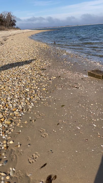 Foster Memorial Long Beach - Beaches Near Me - Sag Harbor, New York