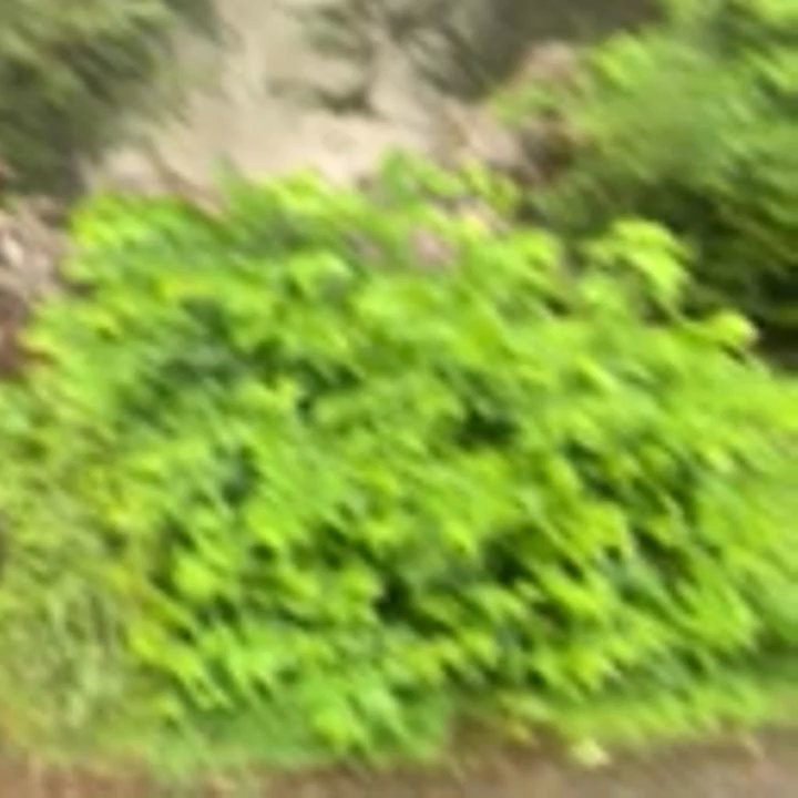 Video thumbnail 2 more videos