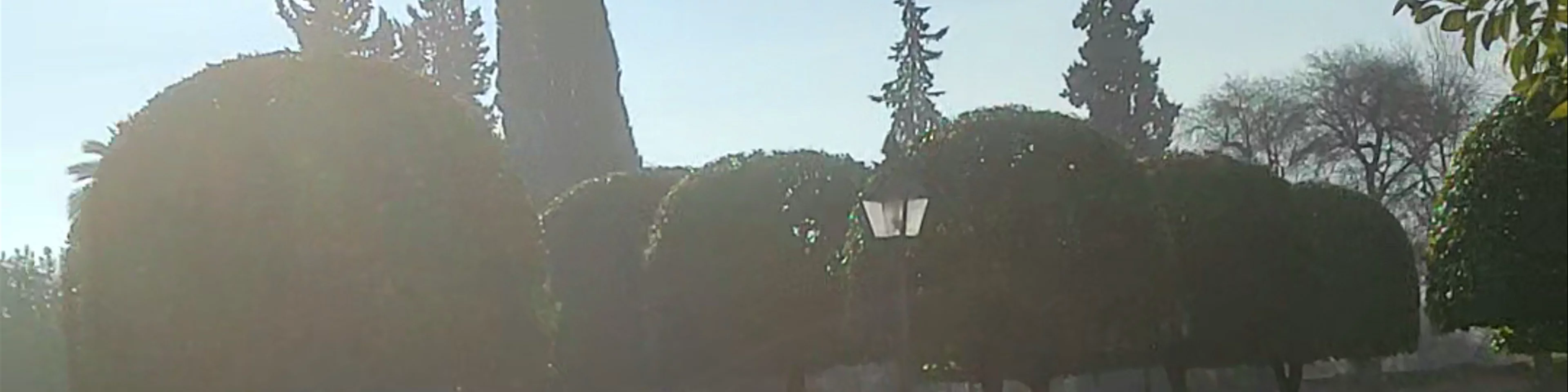 Jardines del Alcázar de los Reyes Cristianos