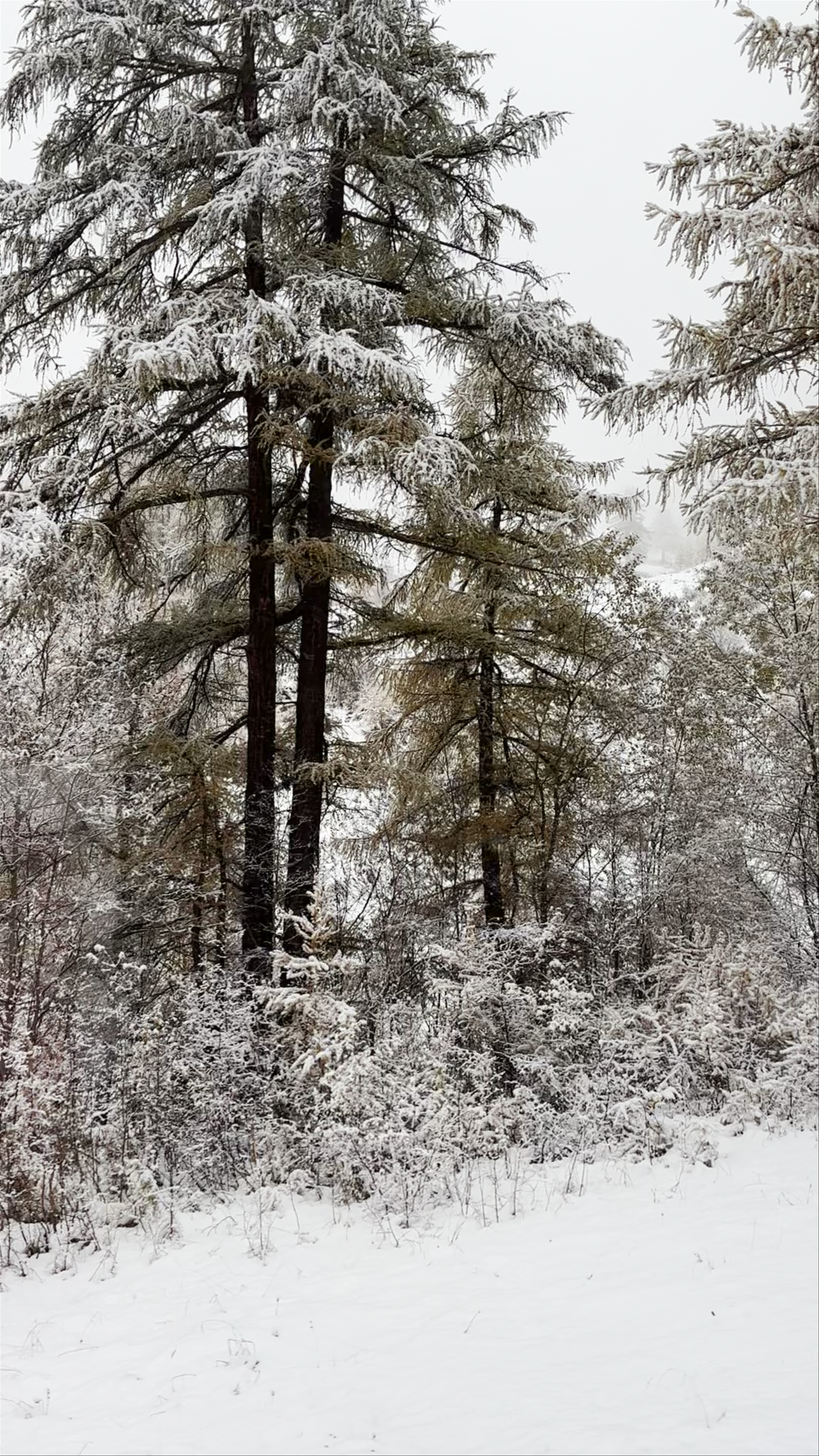 Matterhorn Glacier Paradise