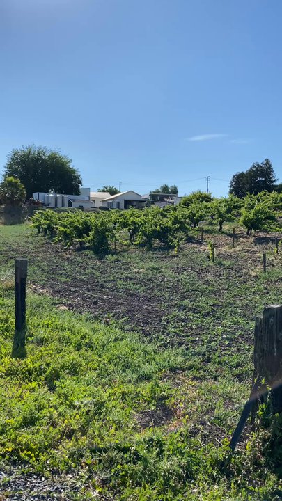 Viano Winery - Wineries Near Me - Martinez, California