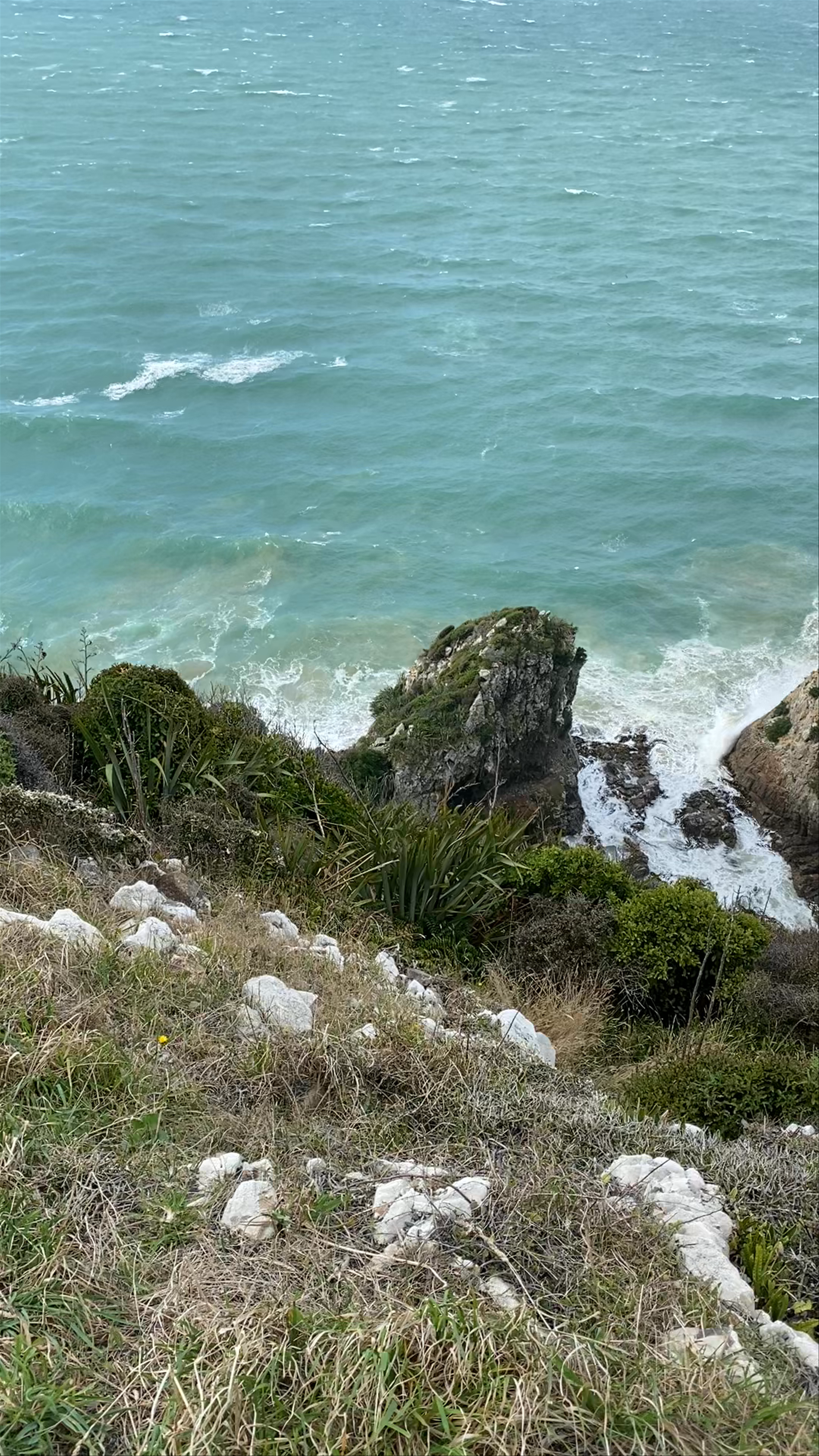 Nugget Point Cliff View
