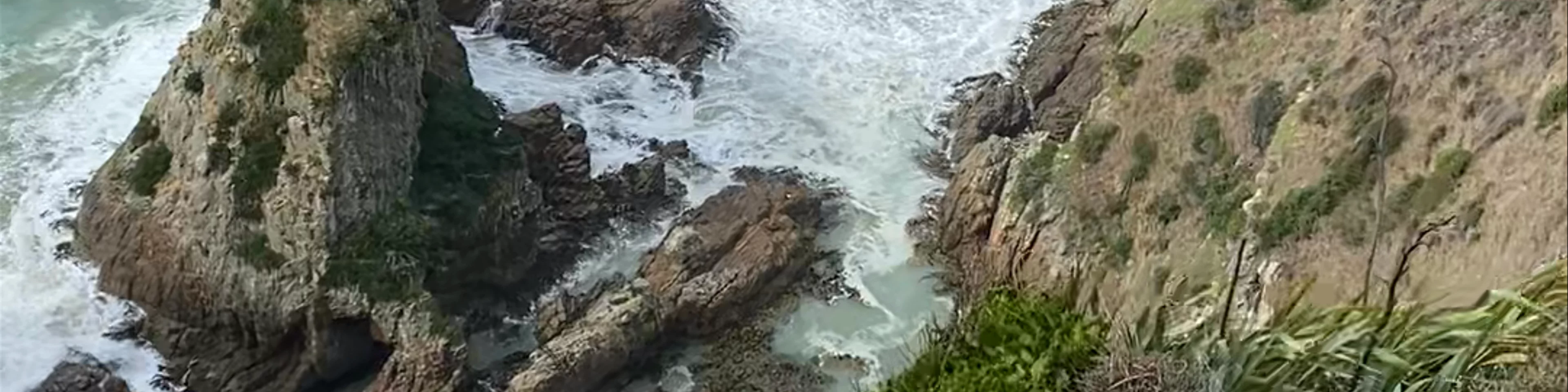 Nugget Point Cliff View
