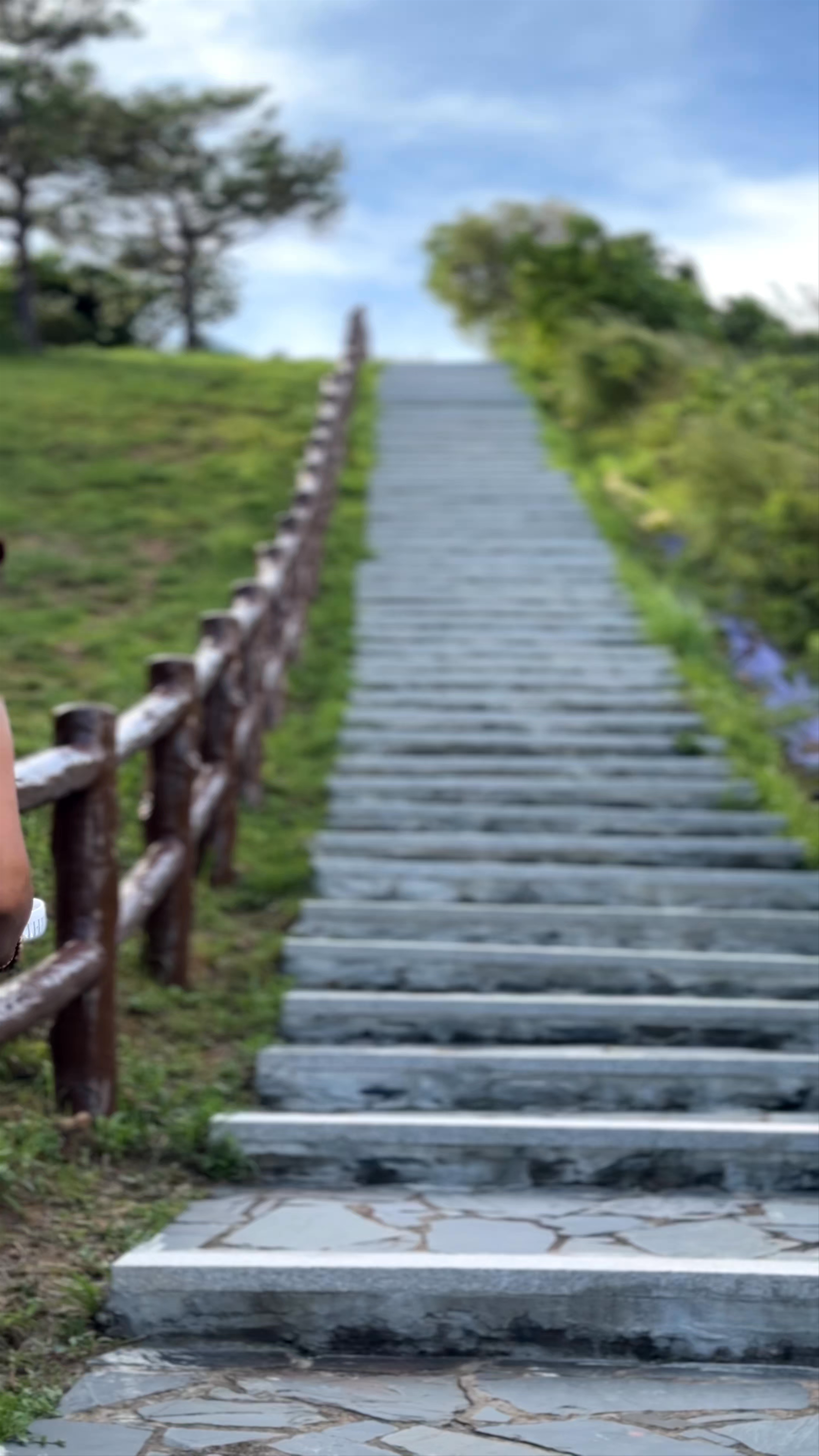 Fu Shan Viewing Point: Scenic Hike and Chinese White Dolphins Spotting in Tai O, Hong Kong