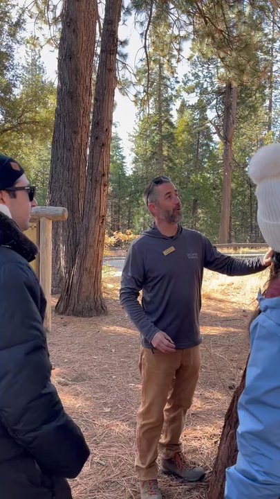 Discover Yosemite - Tours Near Me