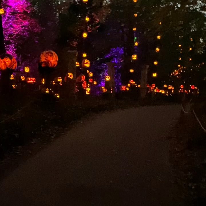 Jack-O-Lantern Spectacular - Zoos Near Me - Apple Valley, Minnesota