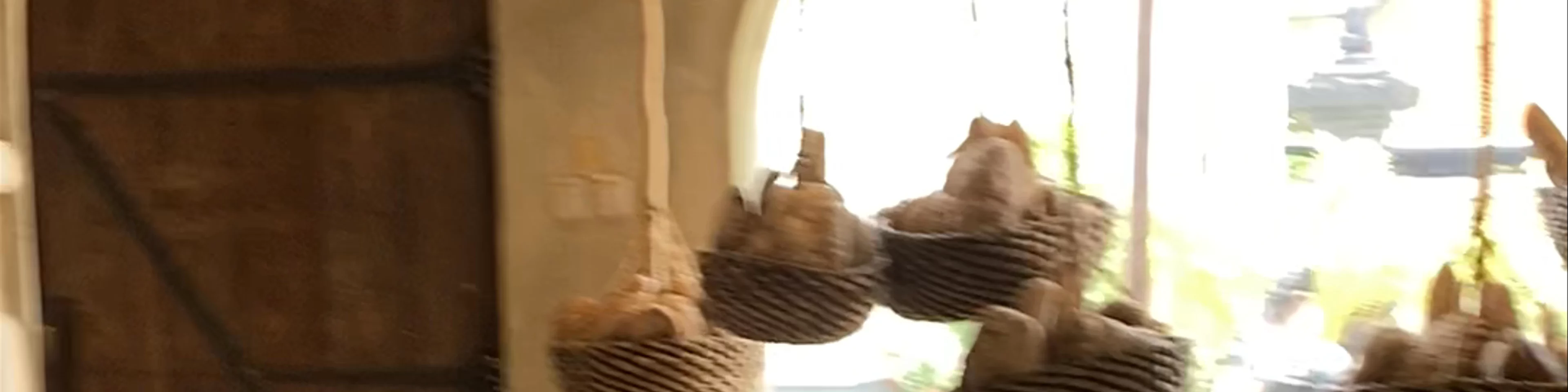 Bread Basket Bakery - Canggu Bali