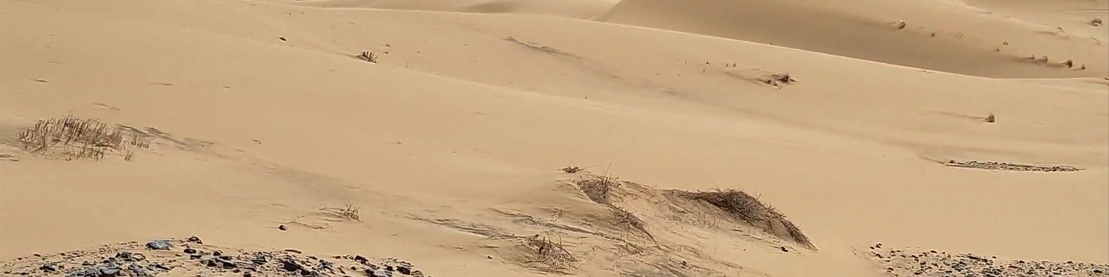 Erg Chebbi