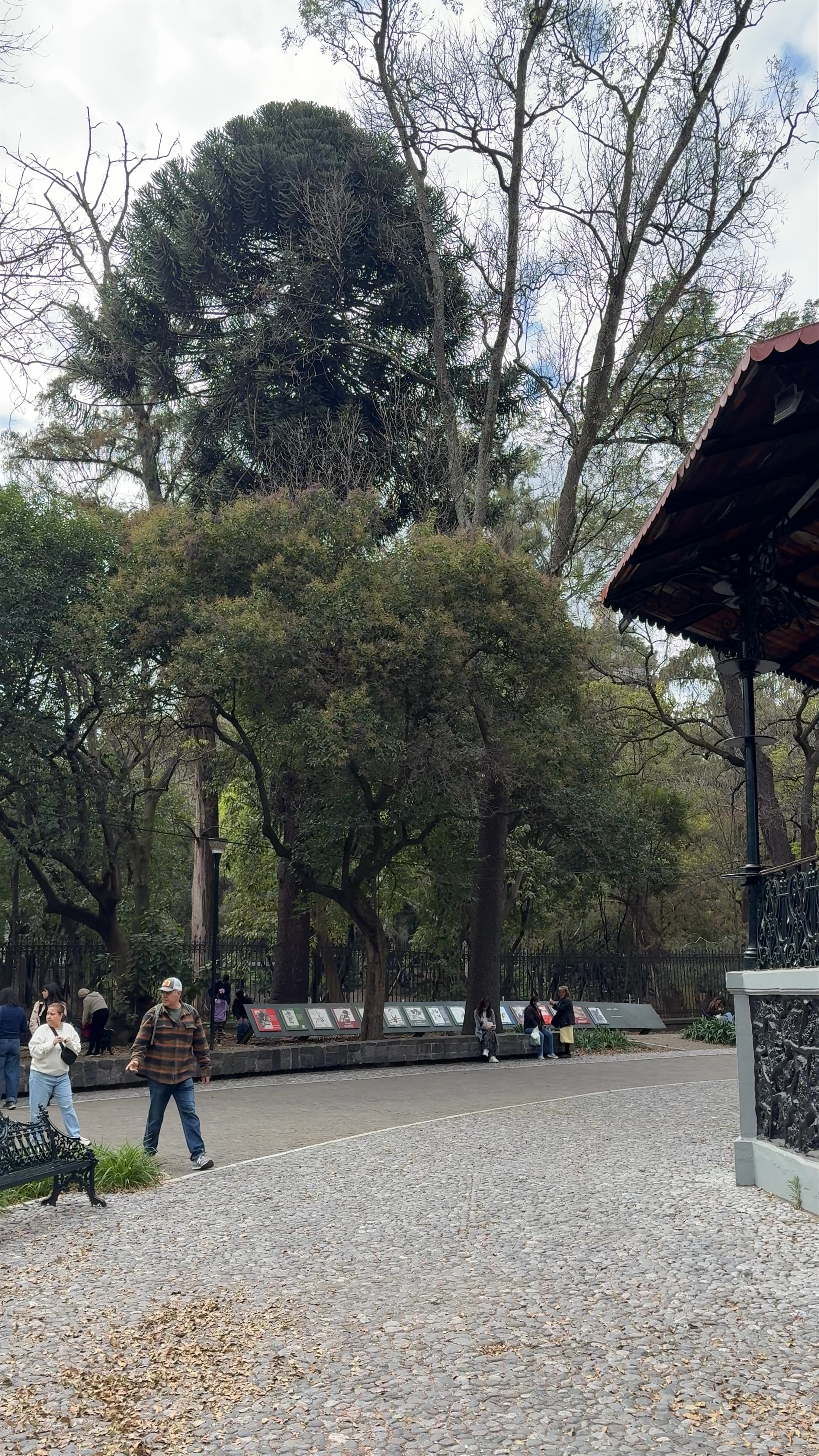 Altar a la Patria: Historic Sanctuary in Chapultepec, Mexico City
