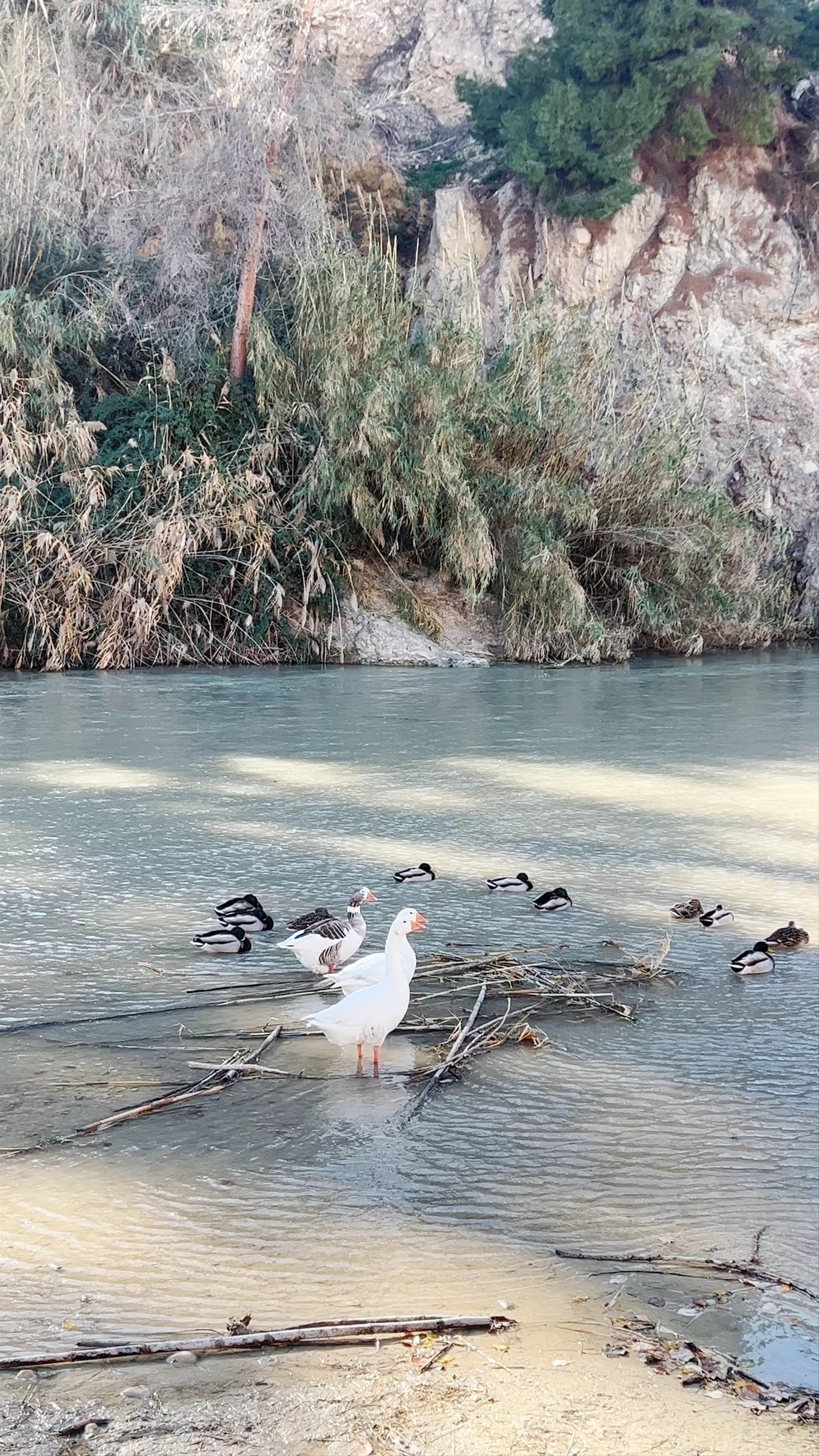 Kayak Rio Segura, Avenida Río Segura, Blanca, Spain