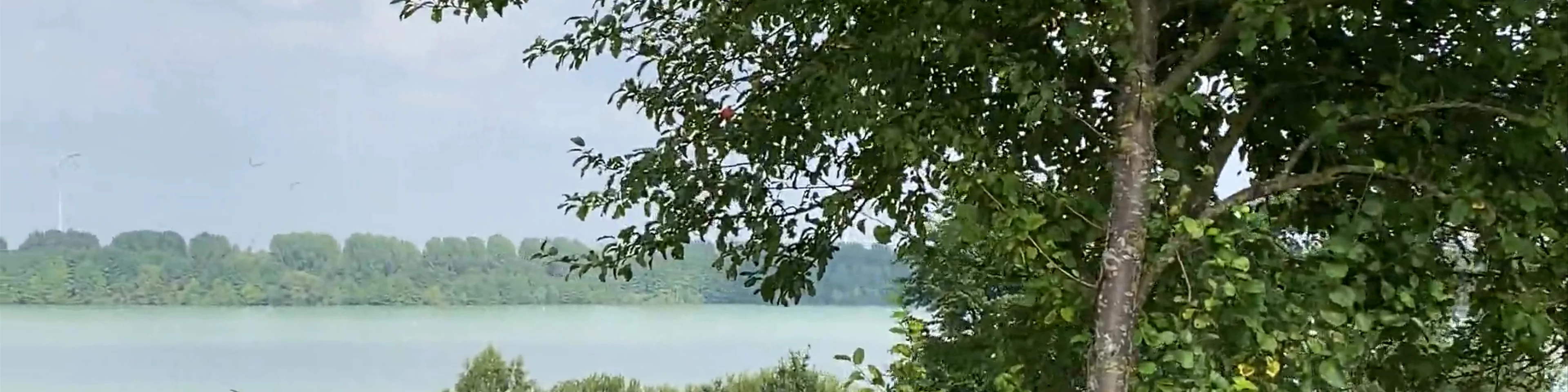 Aussichtspunkt Blausteinsee
