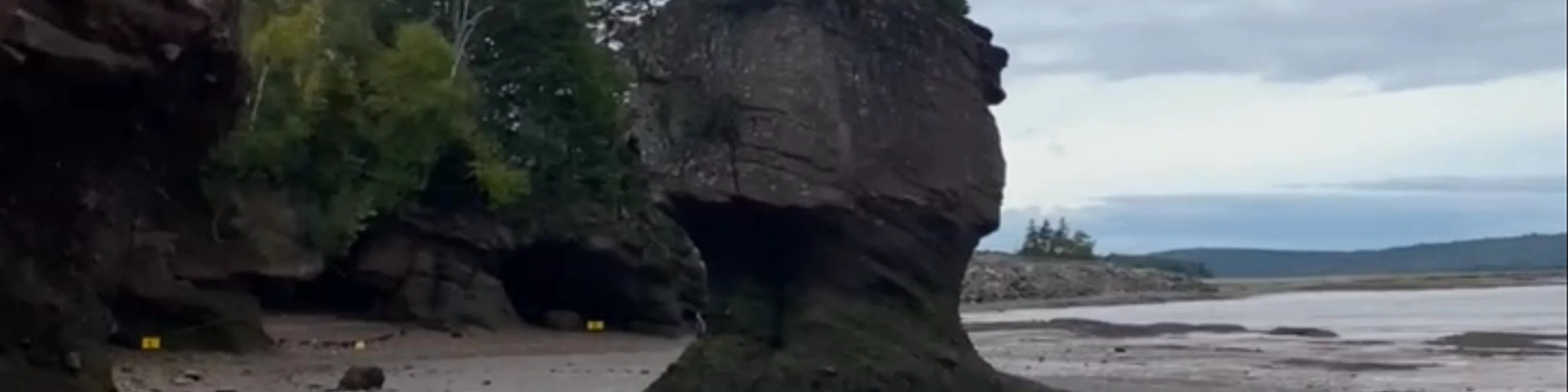 Hopewell Rocks