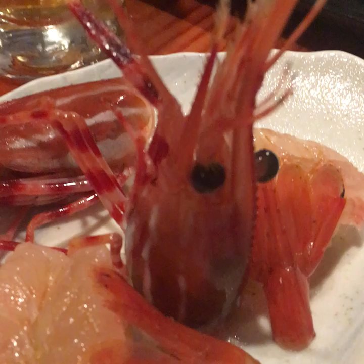 Kurisaki - Santa Barbara Sweet Shrimp Sushi - Japanese Near Me - Redondo Beach, California