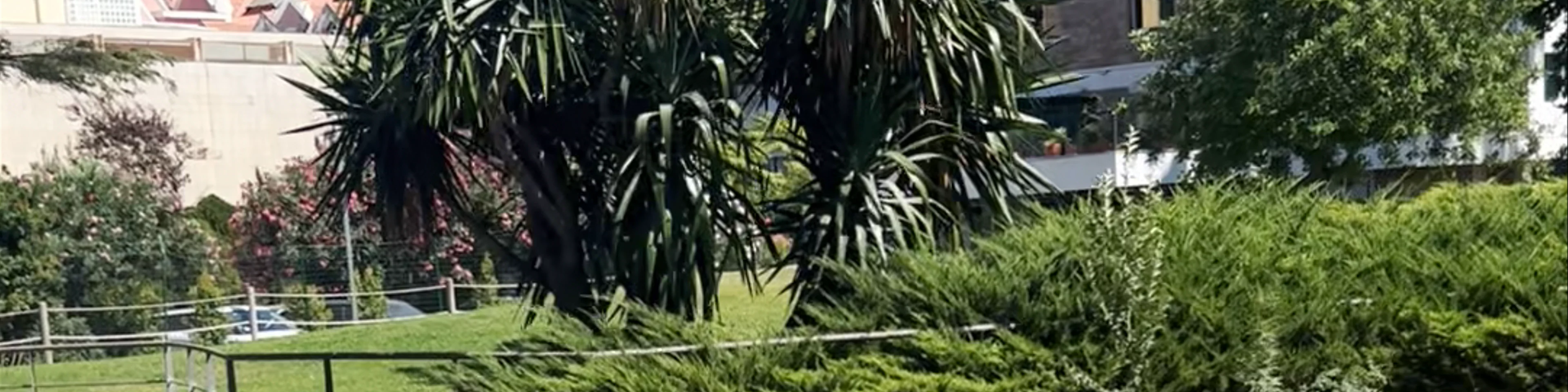 Parque Marechal Carmona