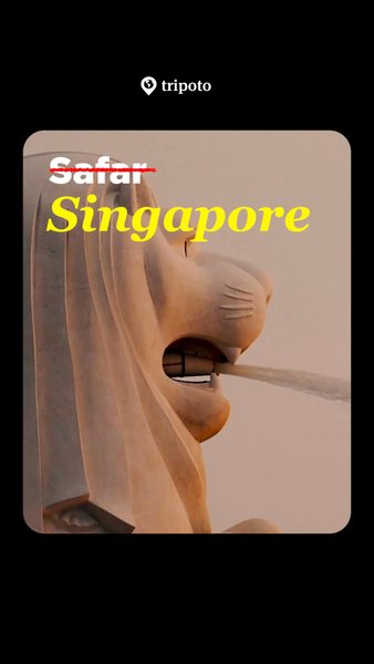 Photo of Book your dream Sing