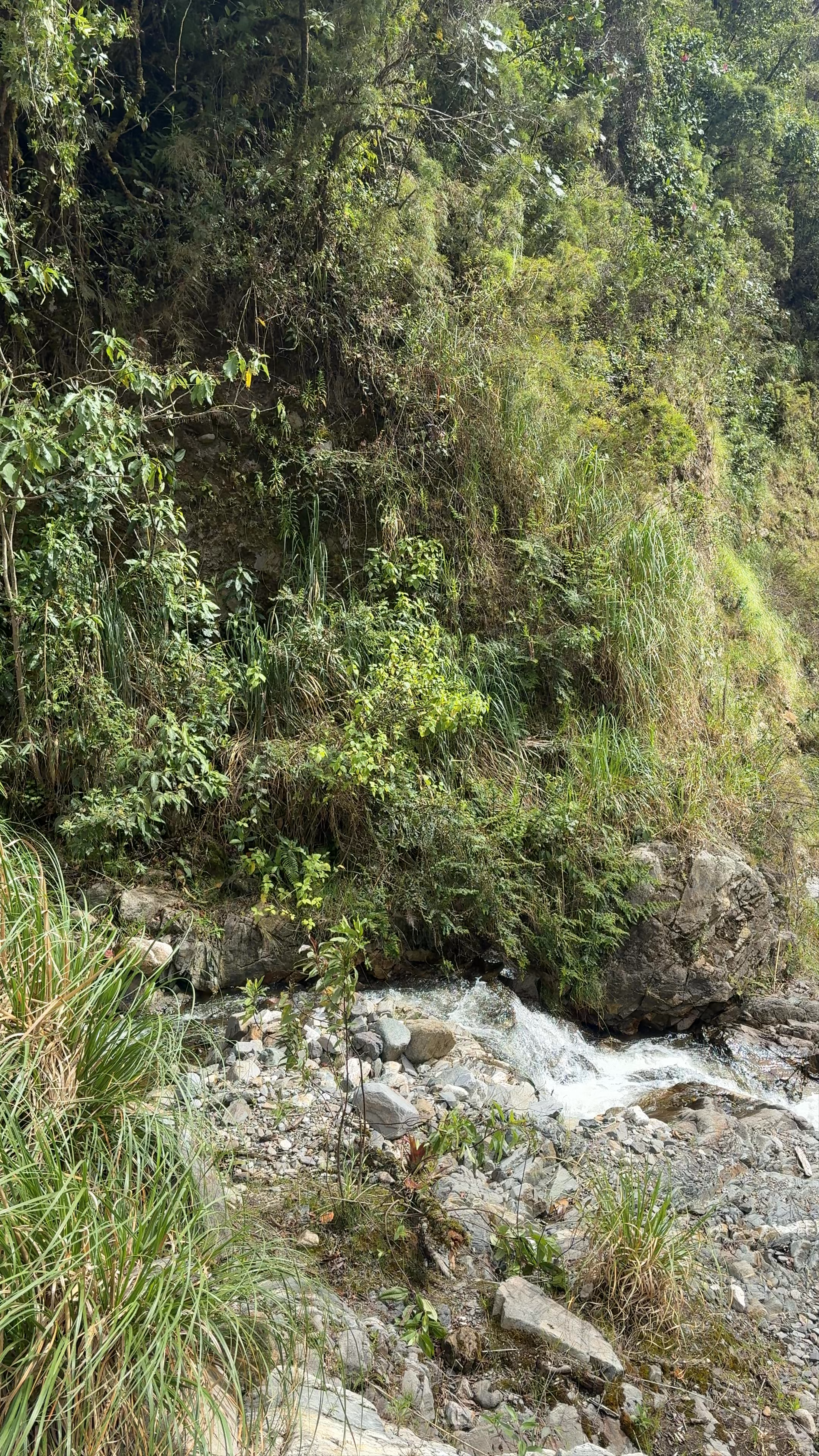Cataratas de Fachi