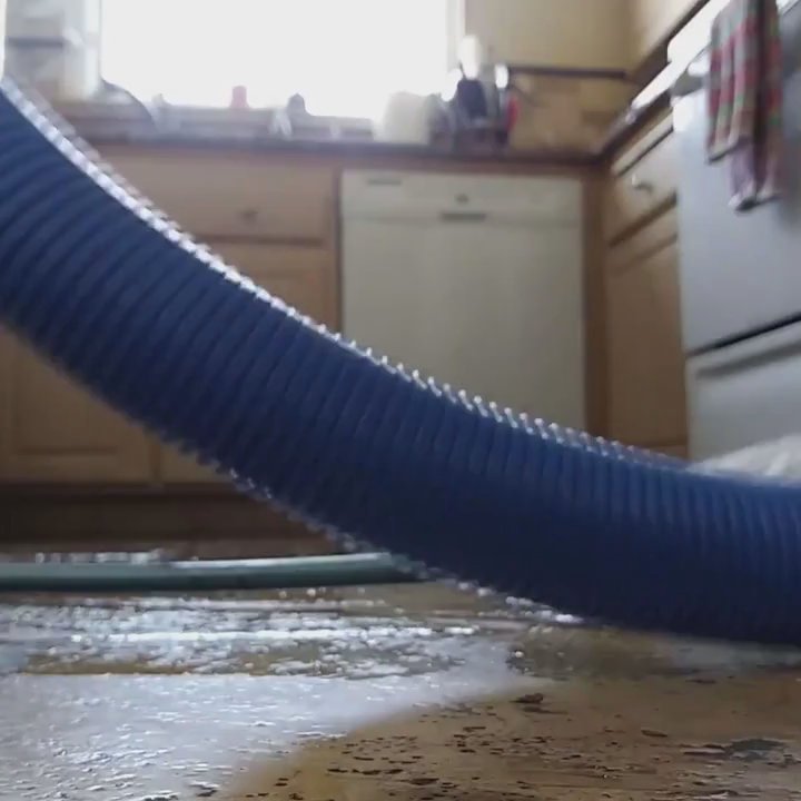 Top Tier Steamer - Floor cleaning! - Carpet Cleaning Near Me