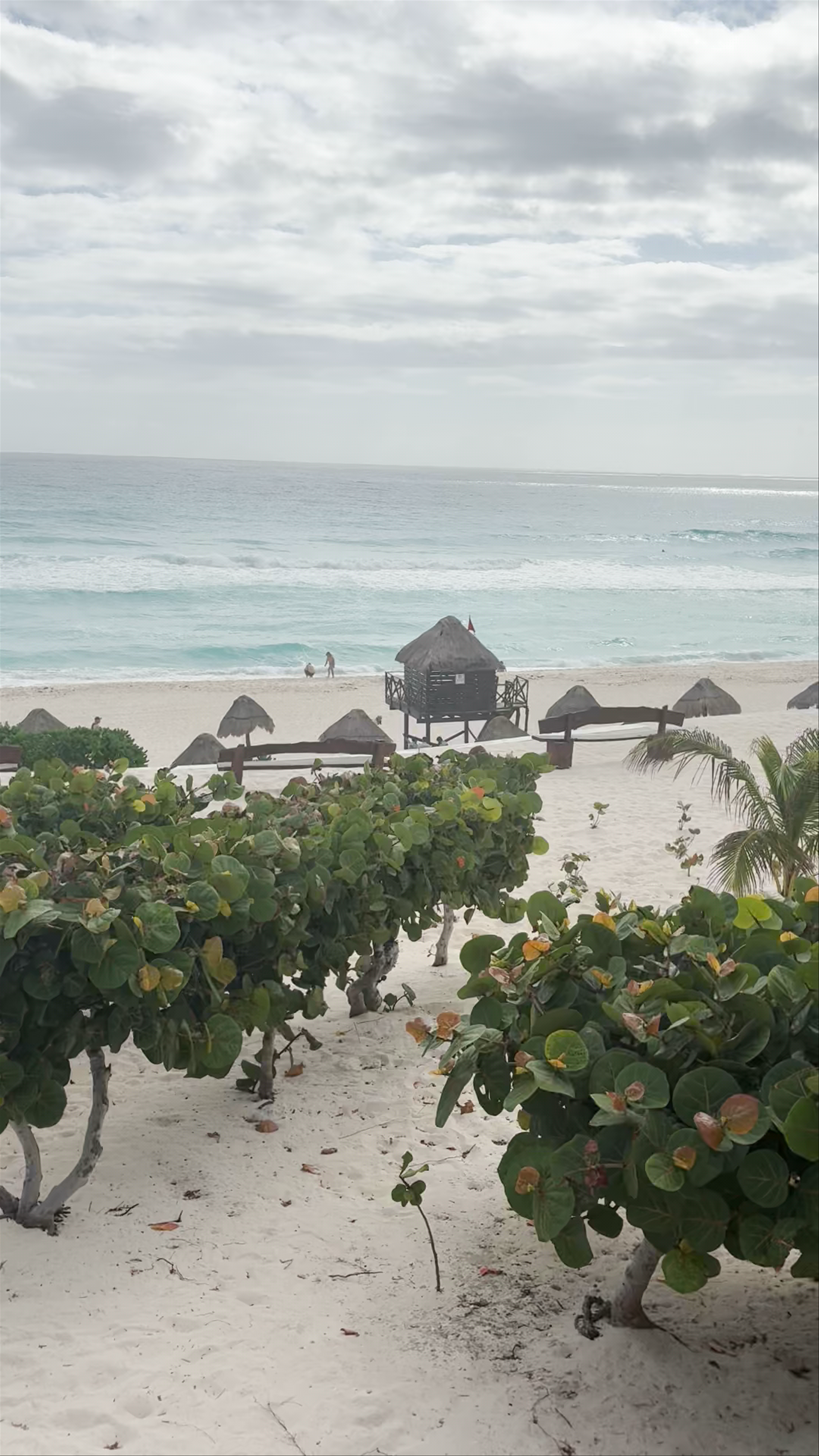 Playa Delfines