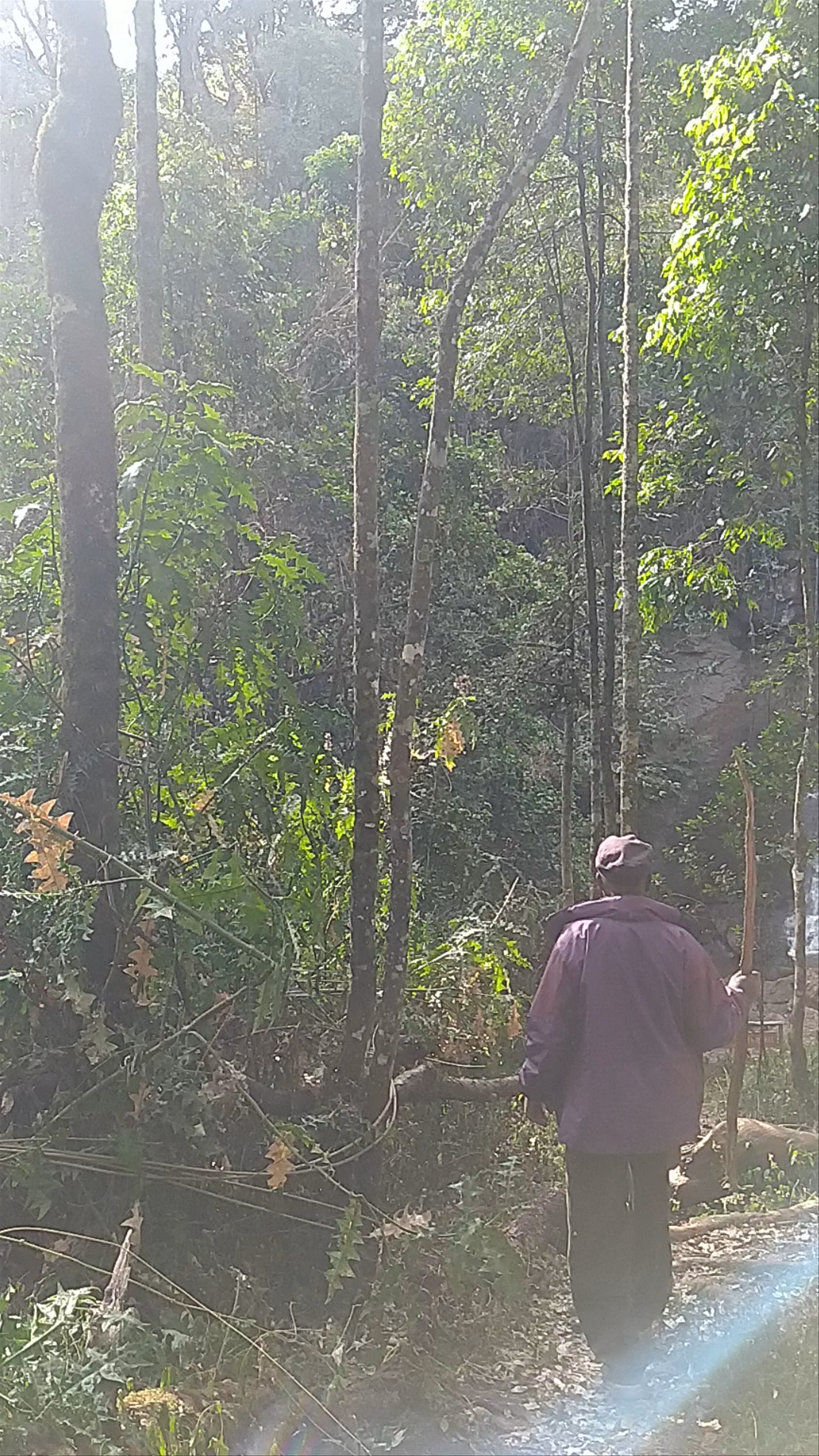 Mount Elgon National Park