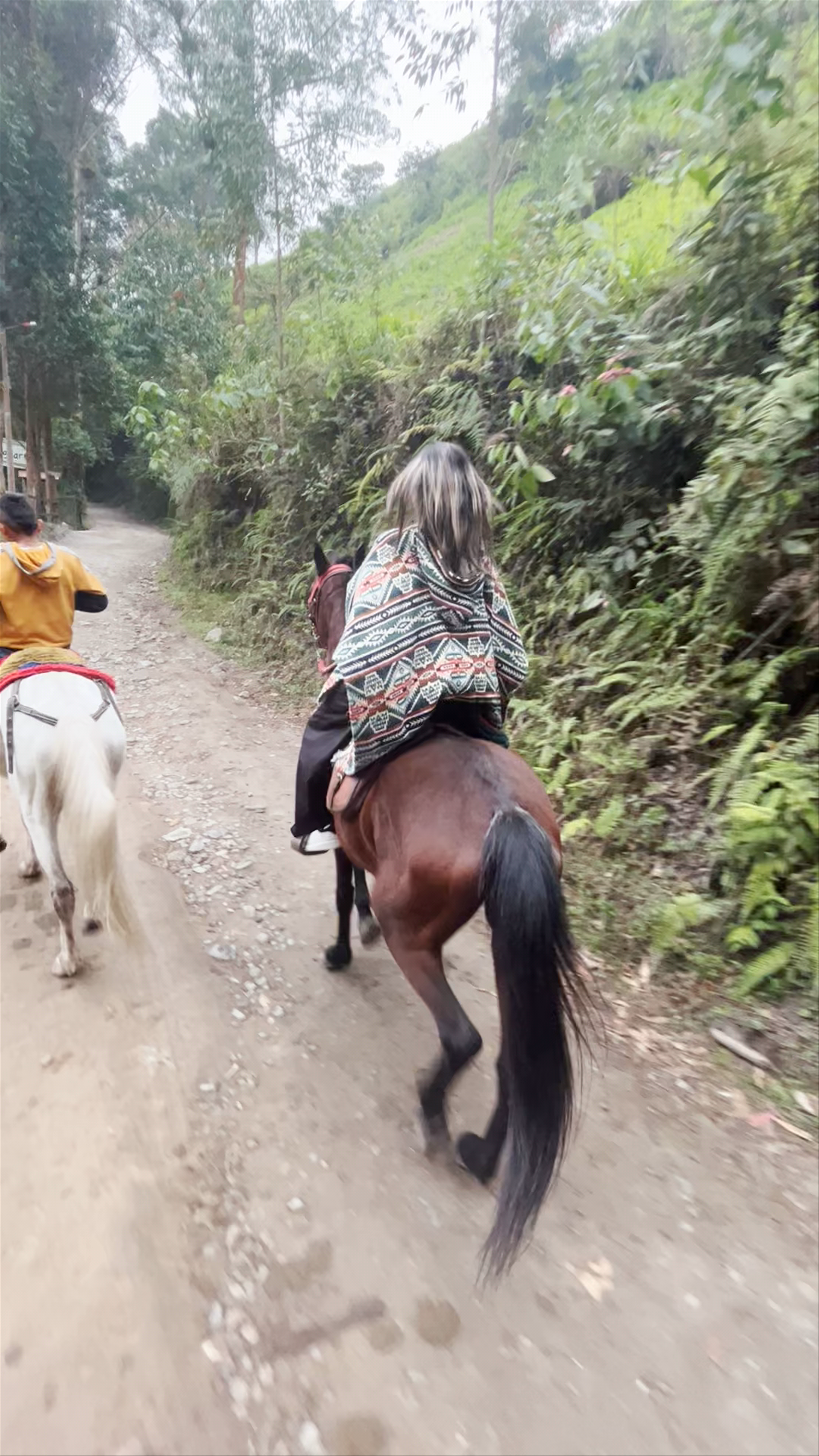 Cabalgatas - Nueva Bilbao