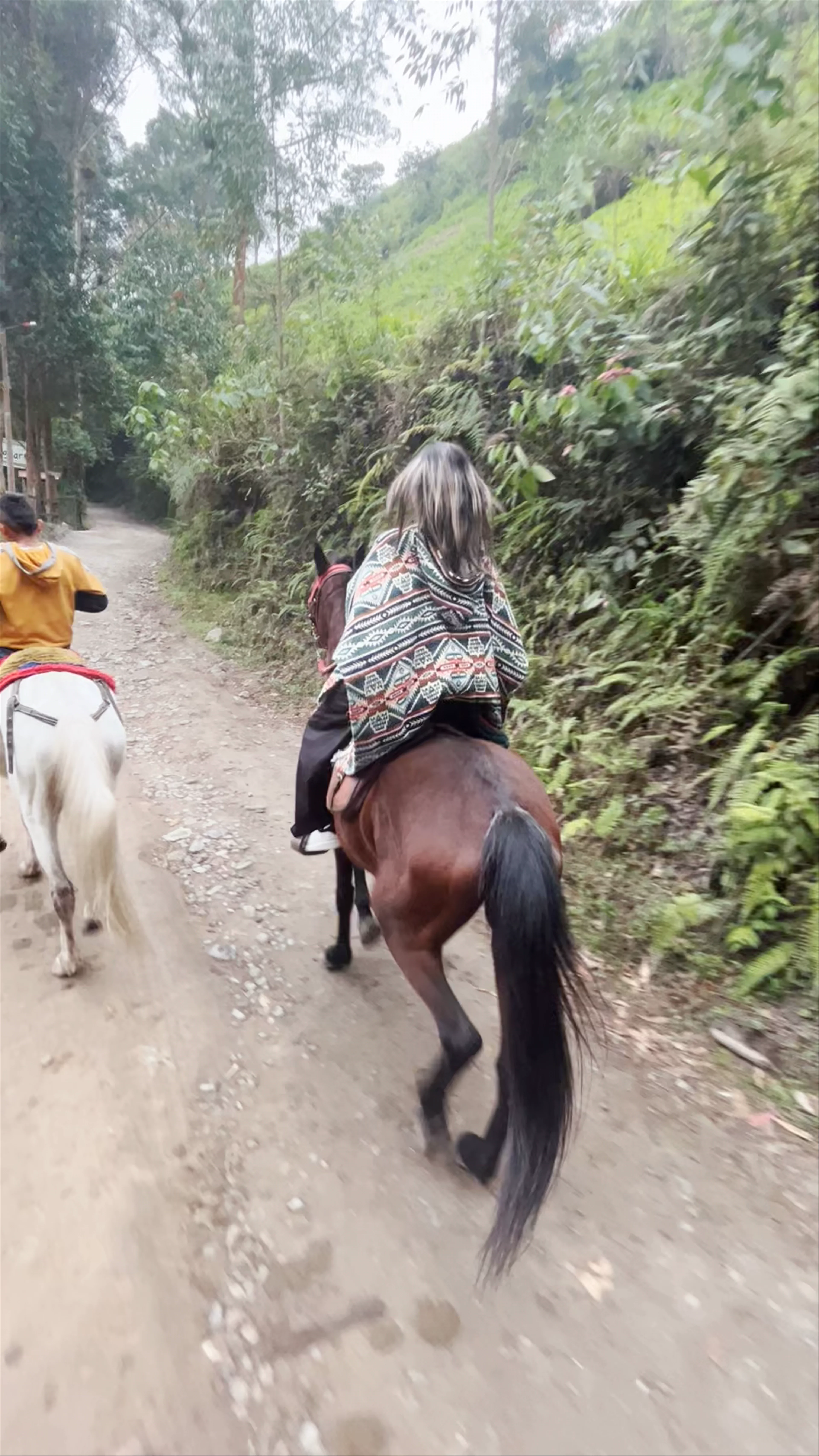 Cabalgatas - Nueva Bilbao, Las Condes, Chile