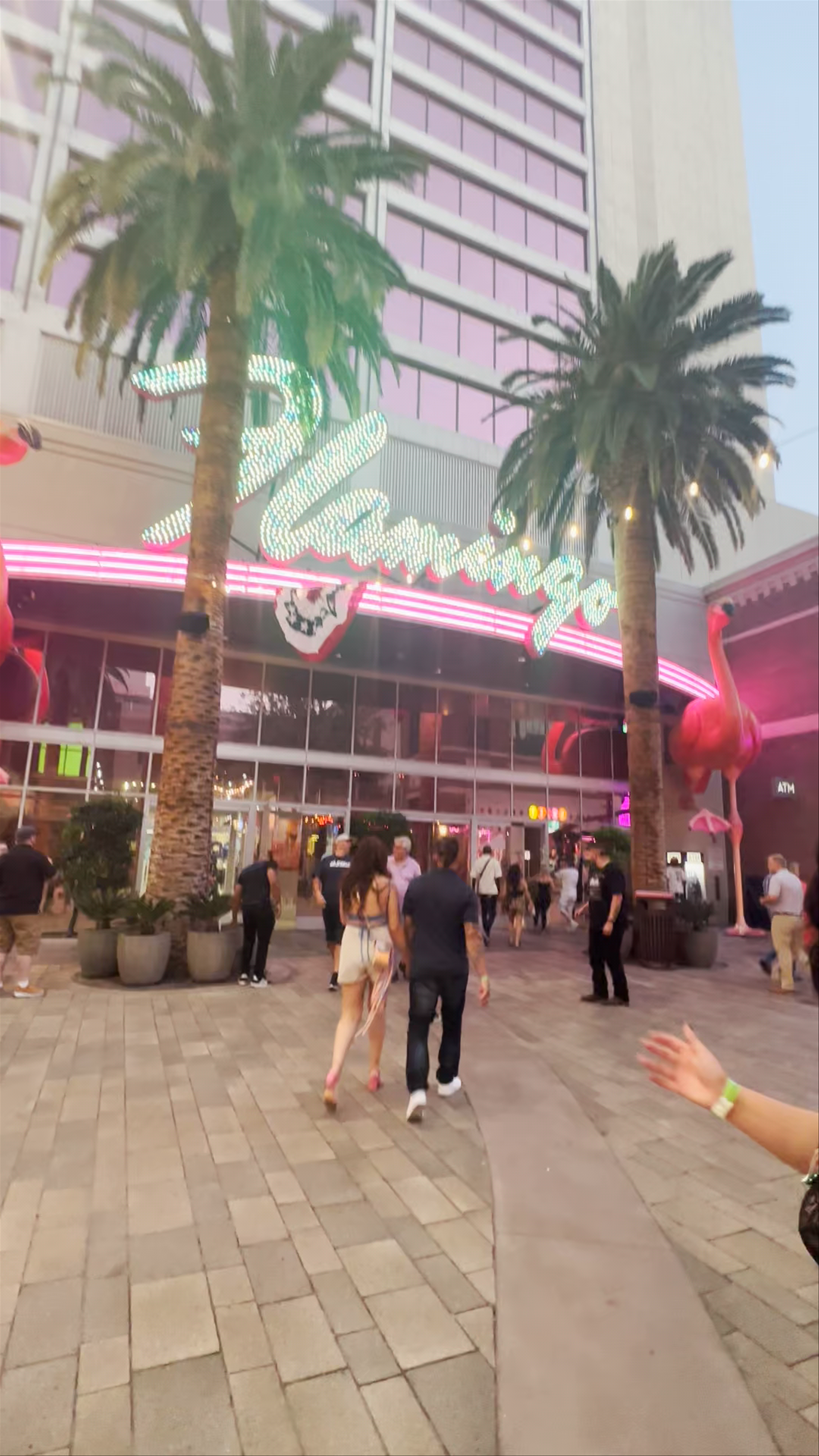 Flamingo Las Vegas: Iconic Neon Nightlife on the Strip