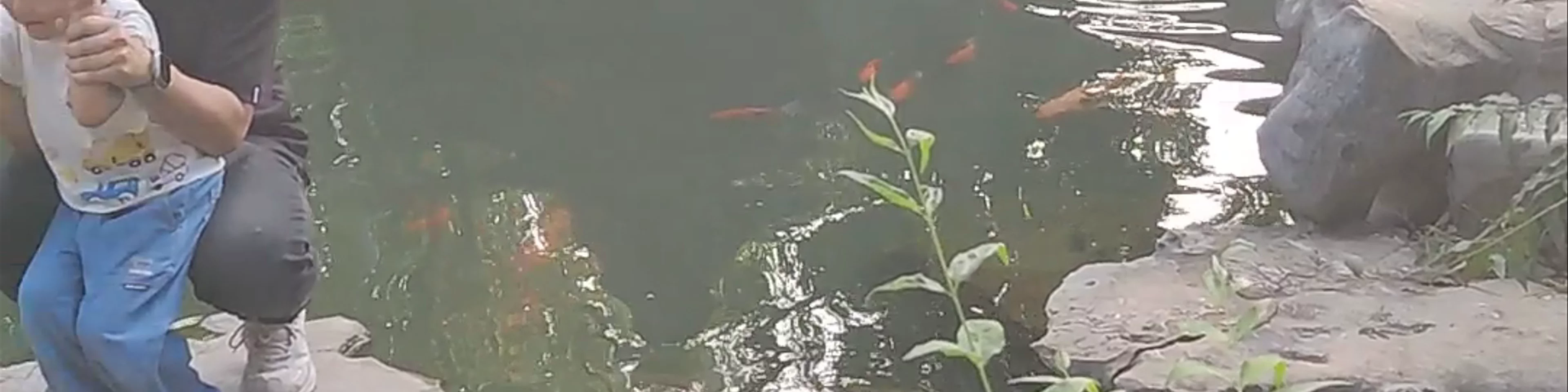 珍珠塔