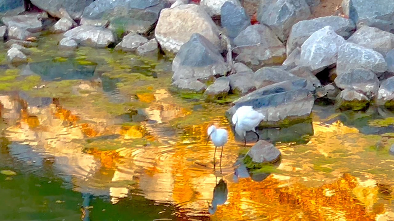 Arovista Park - #YelpElite #Yelp #park - Parks Near Me - Brea, California