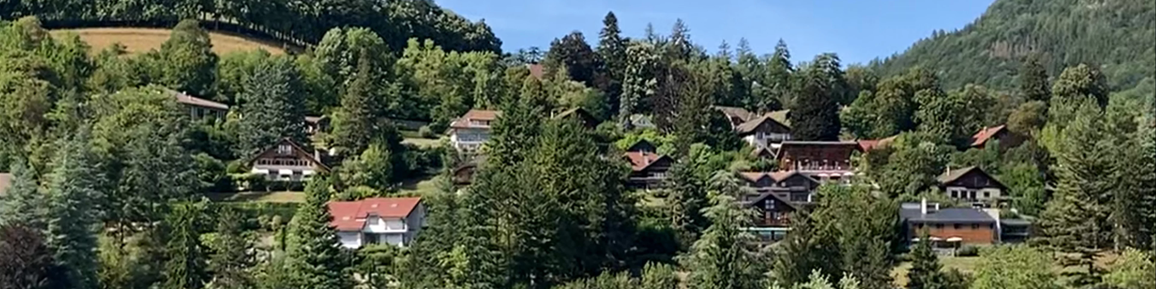 Baie de Talloires