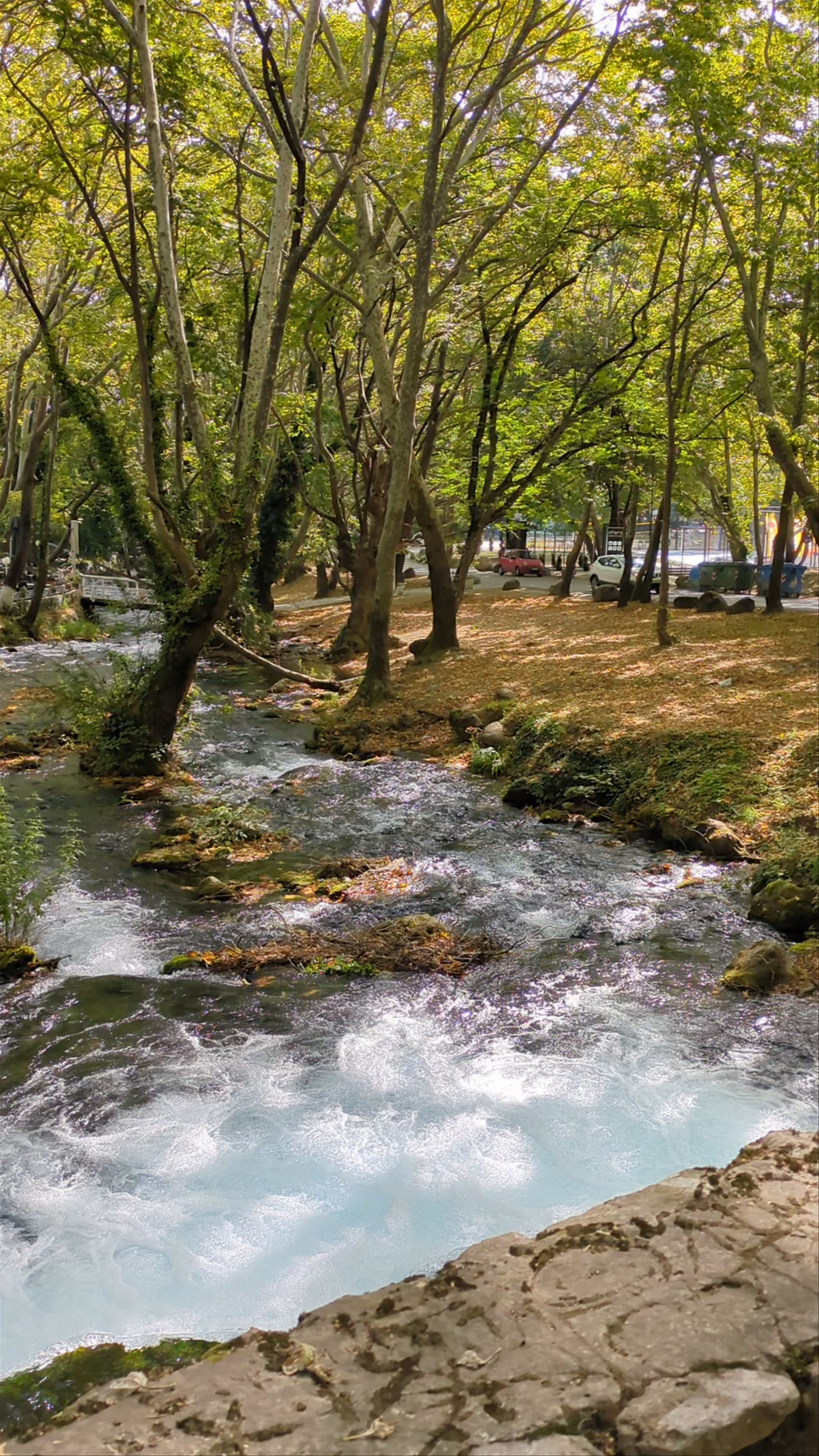 Agios Nikolaos National Park - Naoussa
