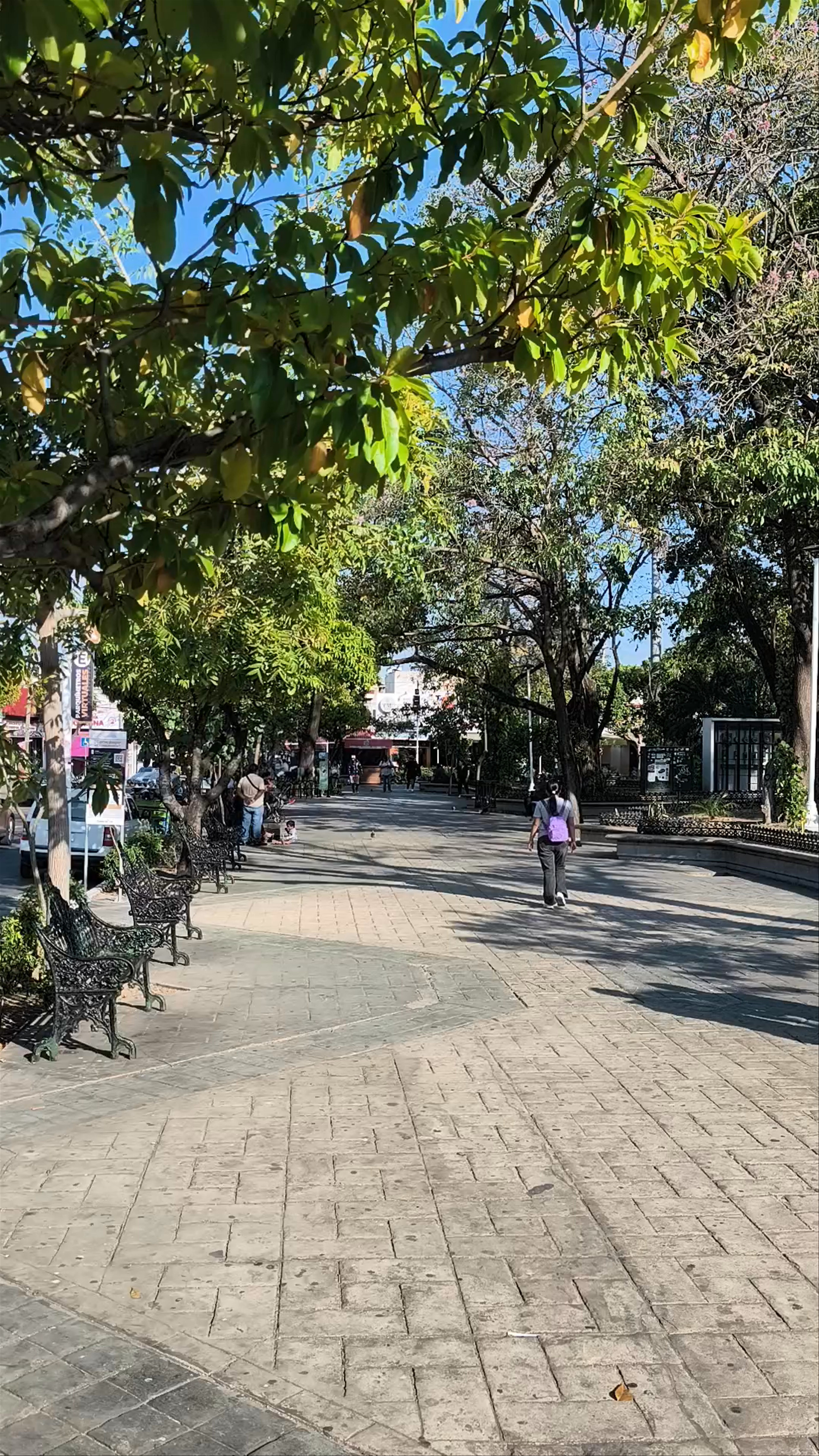 Parque de la Marimba