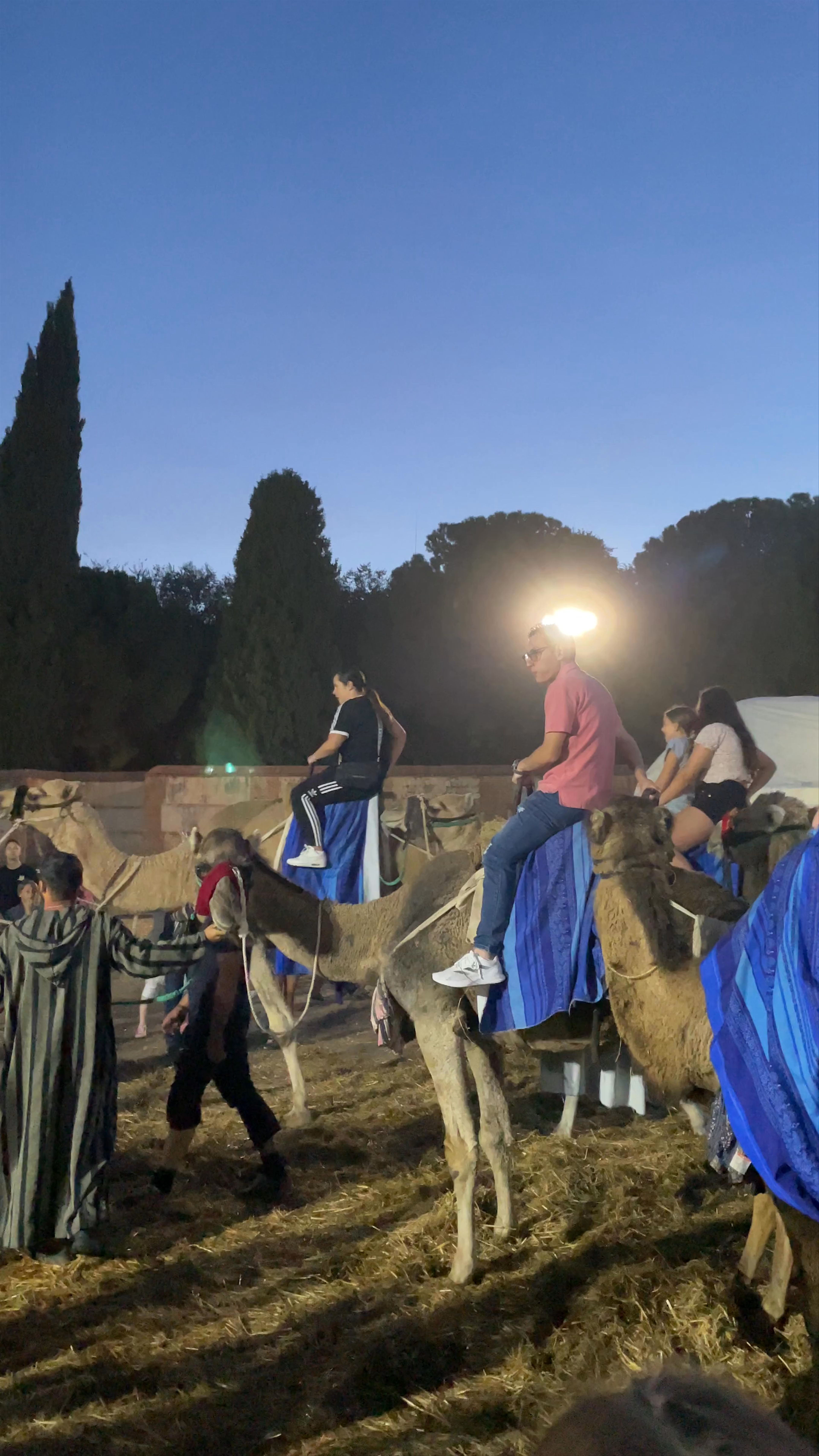 Alcalá de Henares - Ciudad Patrimonio de la Humanidad