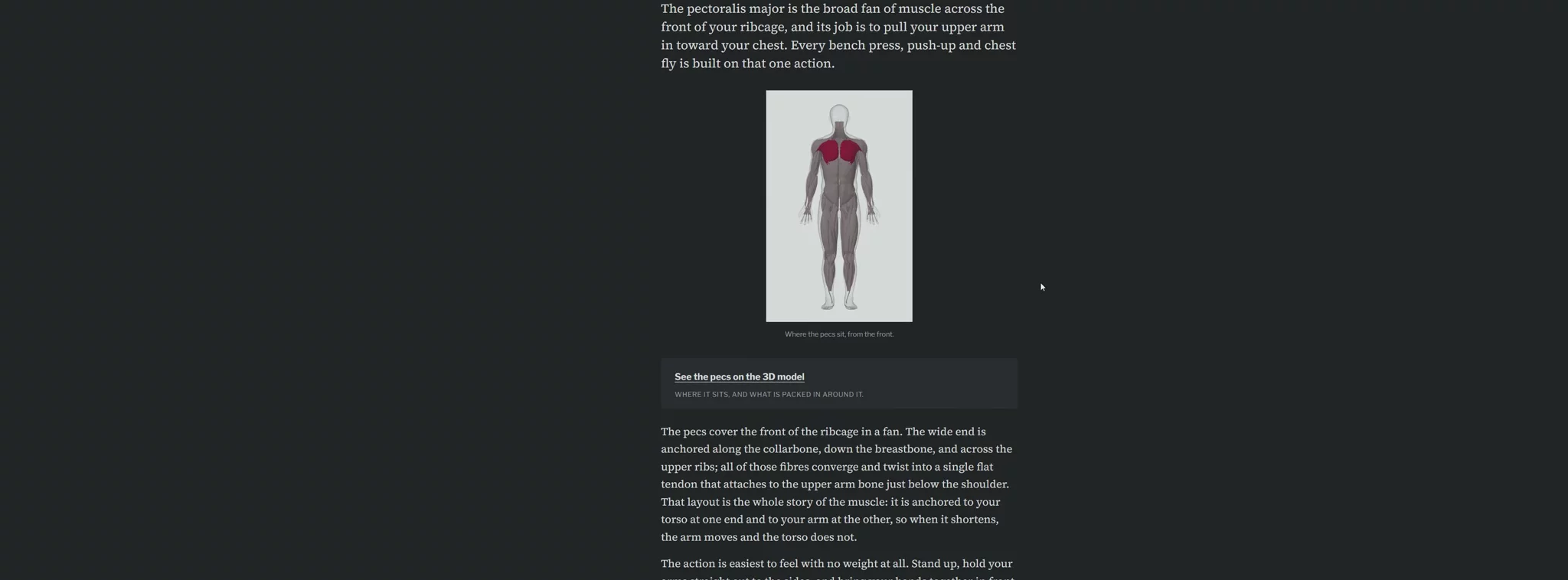 WhatMuscle image 1
